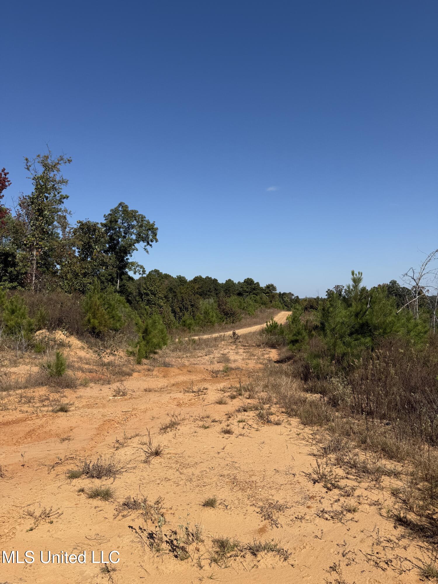 Off Highway 65, Coffeeville, Mississippi image 2