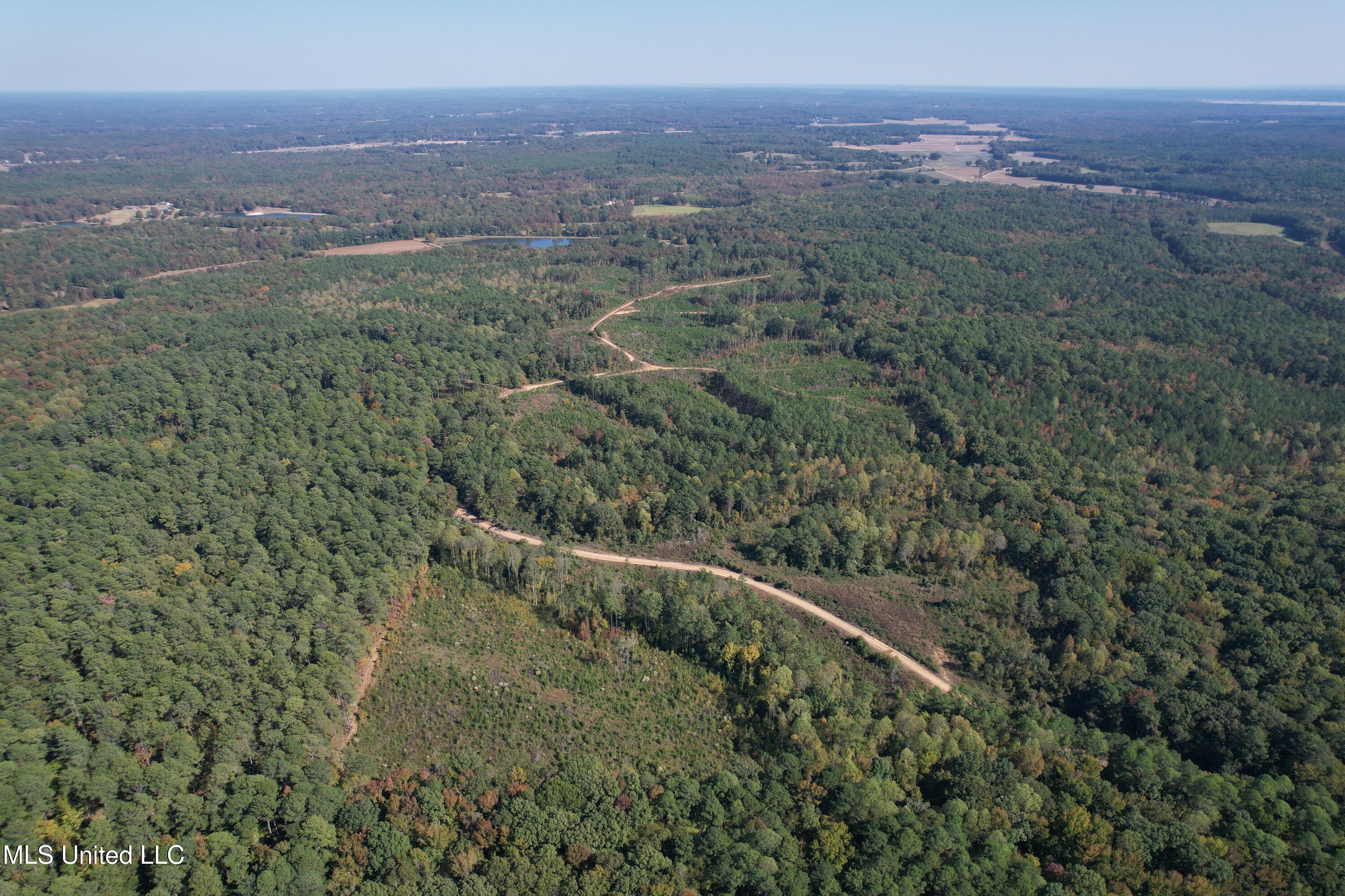 Off Highway 65, Coffeeville, Mississippi image 7