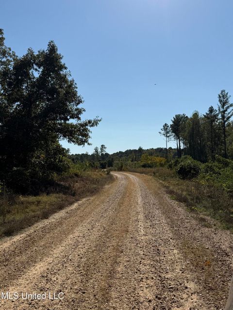 Vacant Land For Sale - Off Highway 65<br/> Coffeeville, MS 38922
