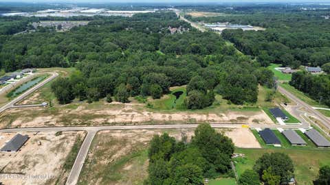 Vacant Land For Sale - 4225 Highway 305<br/> Olive Branch, MS 38654