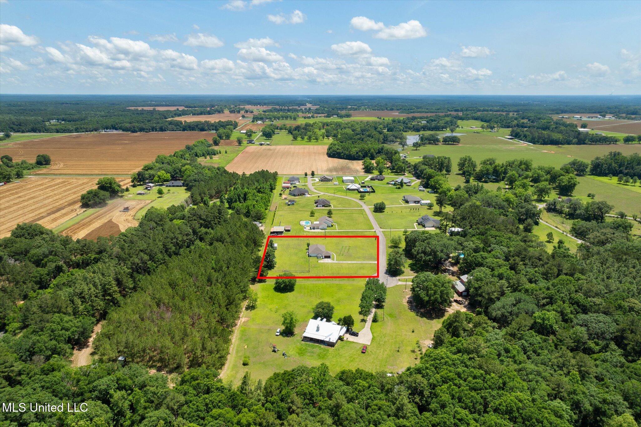 1910 Homestead Lane, Wilmer, Alabama image 37