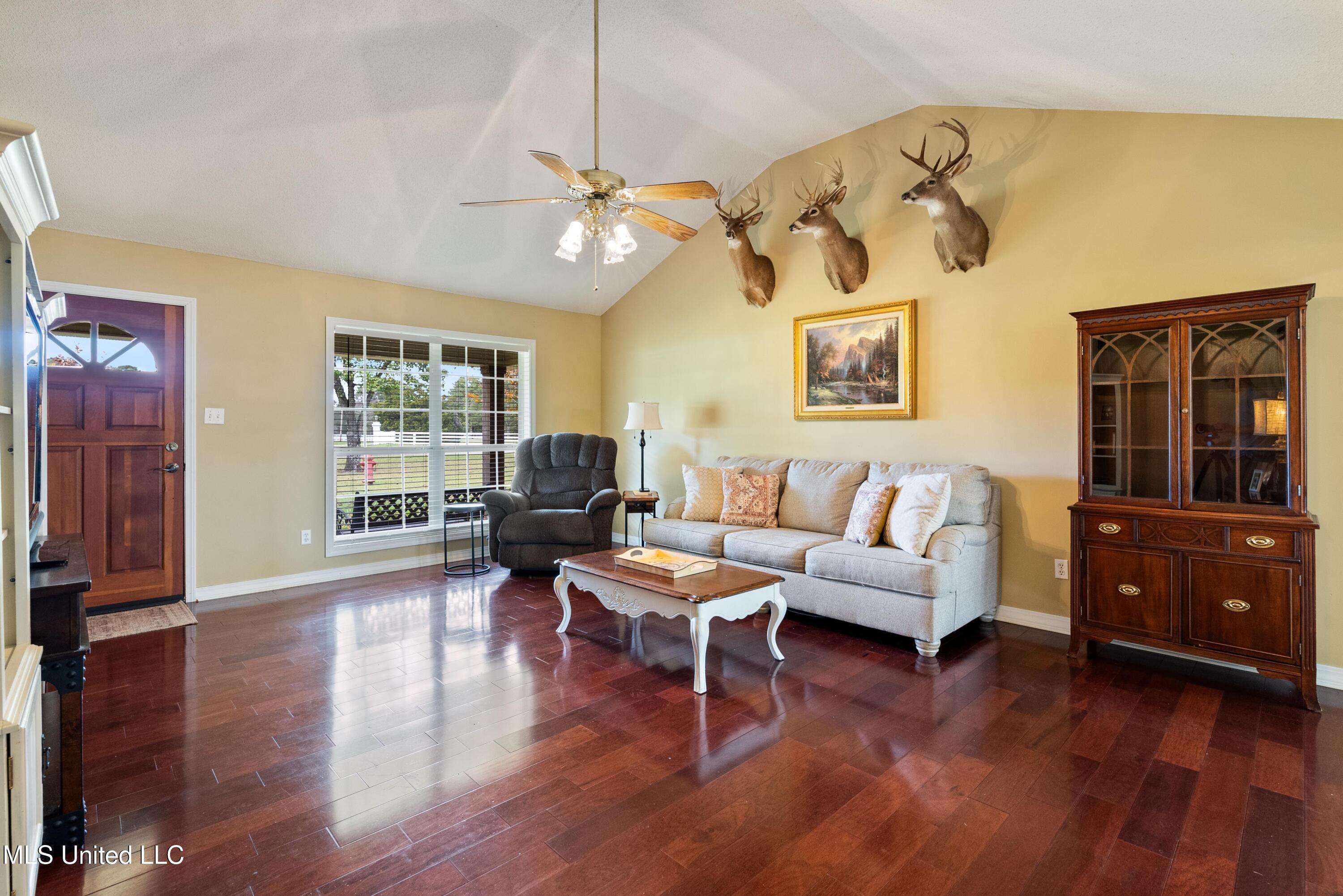 564 Glendale Road, New Albany, Mississippi image 4