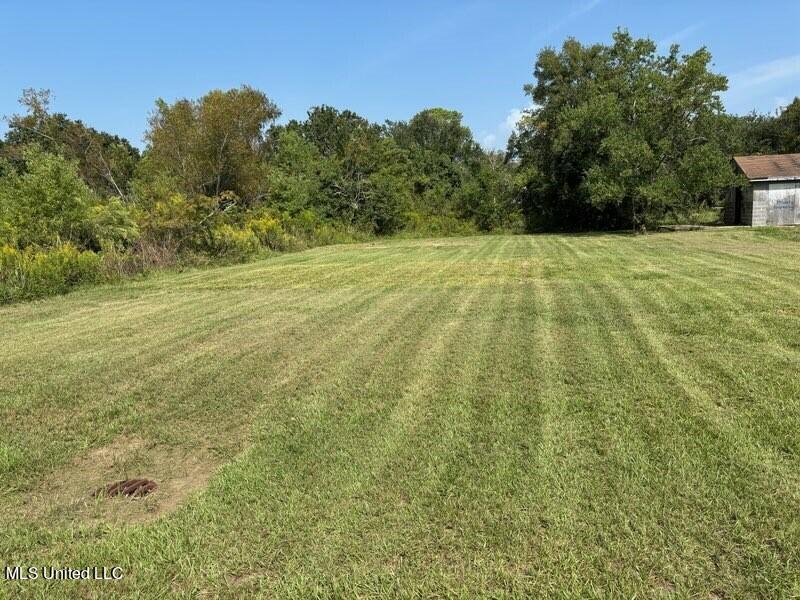 Chickasaw Avenue, Pascagoula, Mississippi image 1