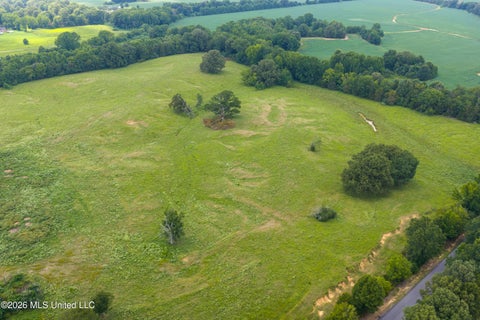 Vacant Land For Sale - 799 Looxahoma Circle<br/> Senatobia, MS 38668