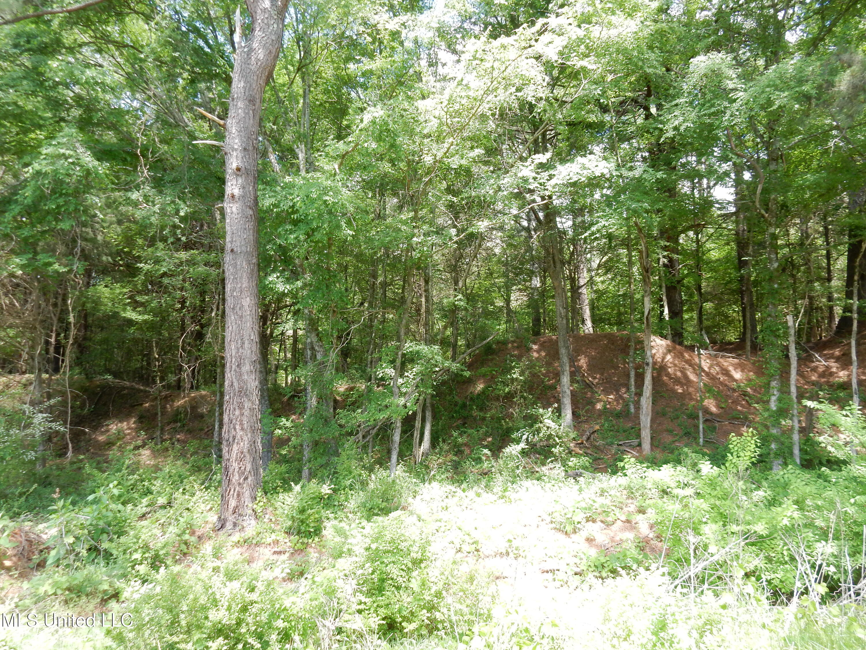 Lot 6 Looxahoma Tyro Road, Senatobia, Mississippi image 9