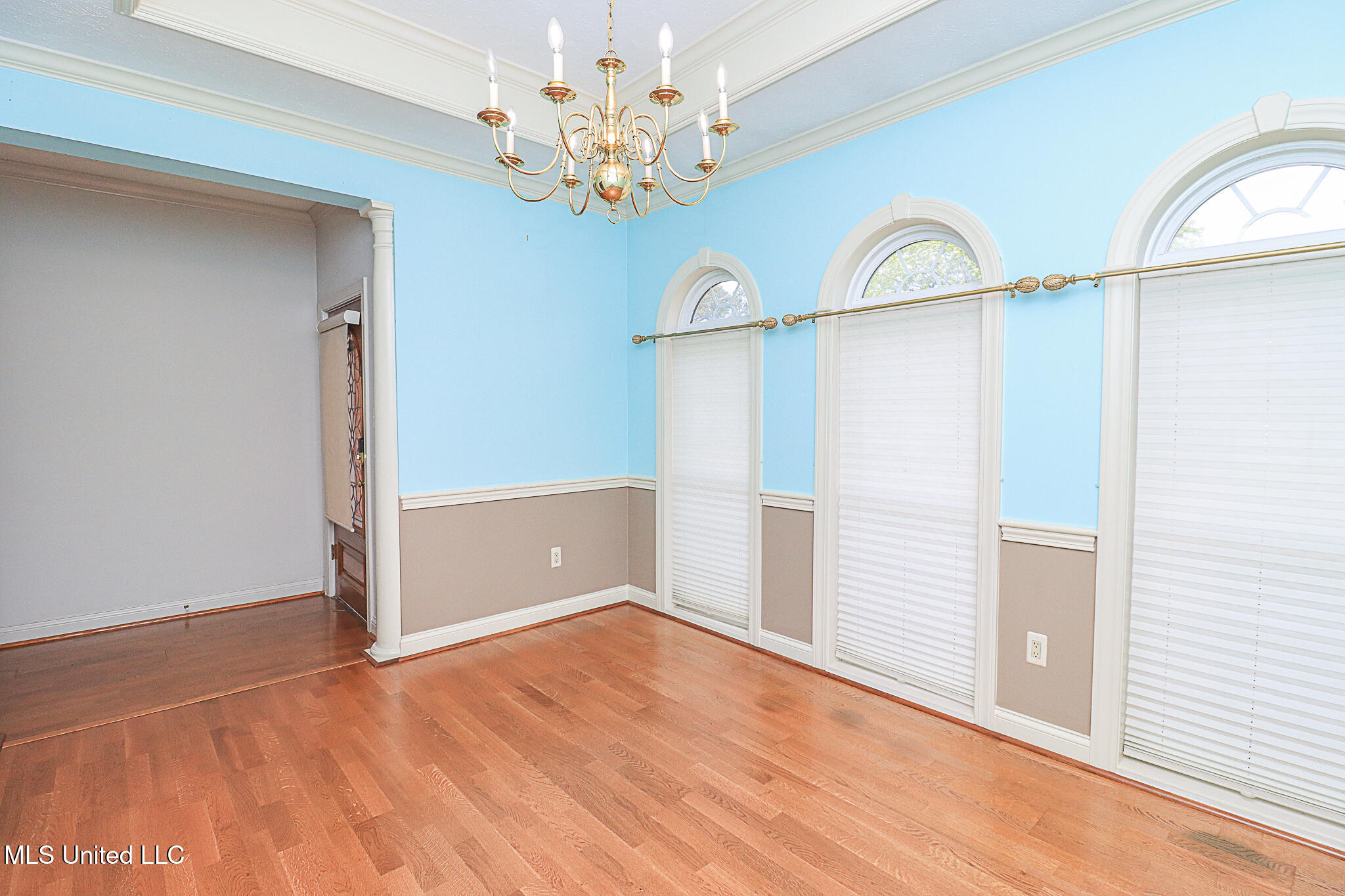 567 Spring Lake Drive, Pearl, Mississippi image 3