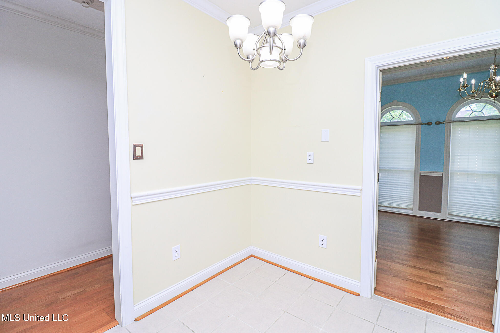 567 Spring Lake Drive, Pearl, Mississippi image 7