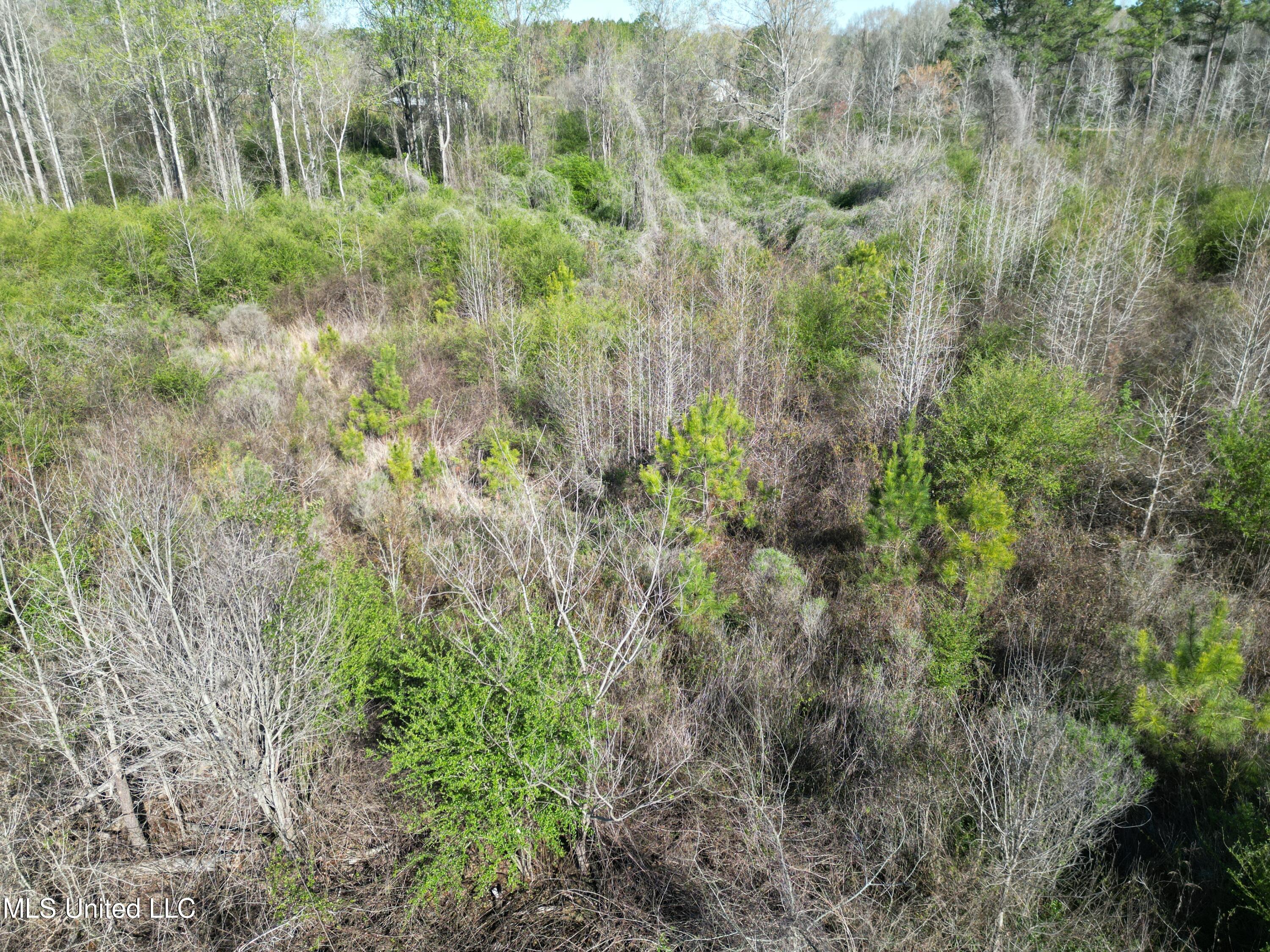 None 16 Highway, Carthage, Mississippi image 4