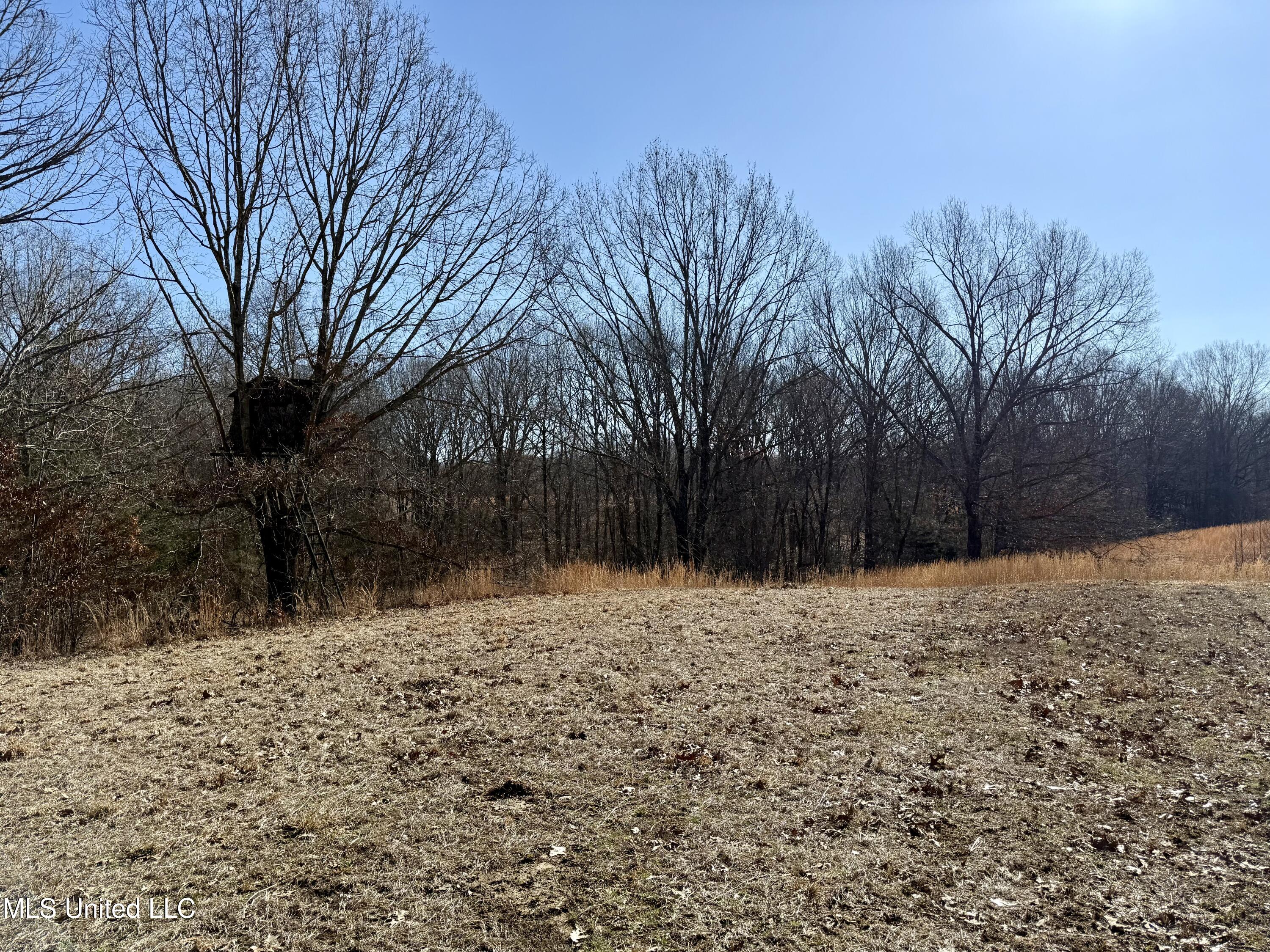 N Crockett Rd, Senatobia, Mississippi image 8