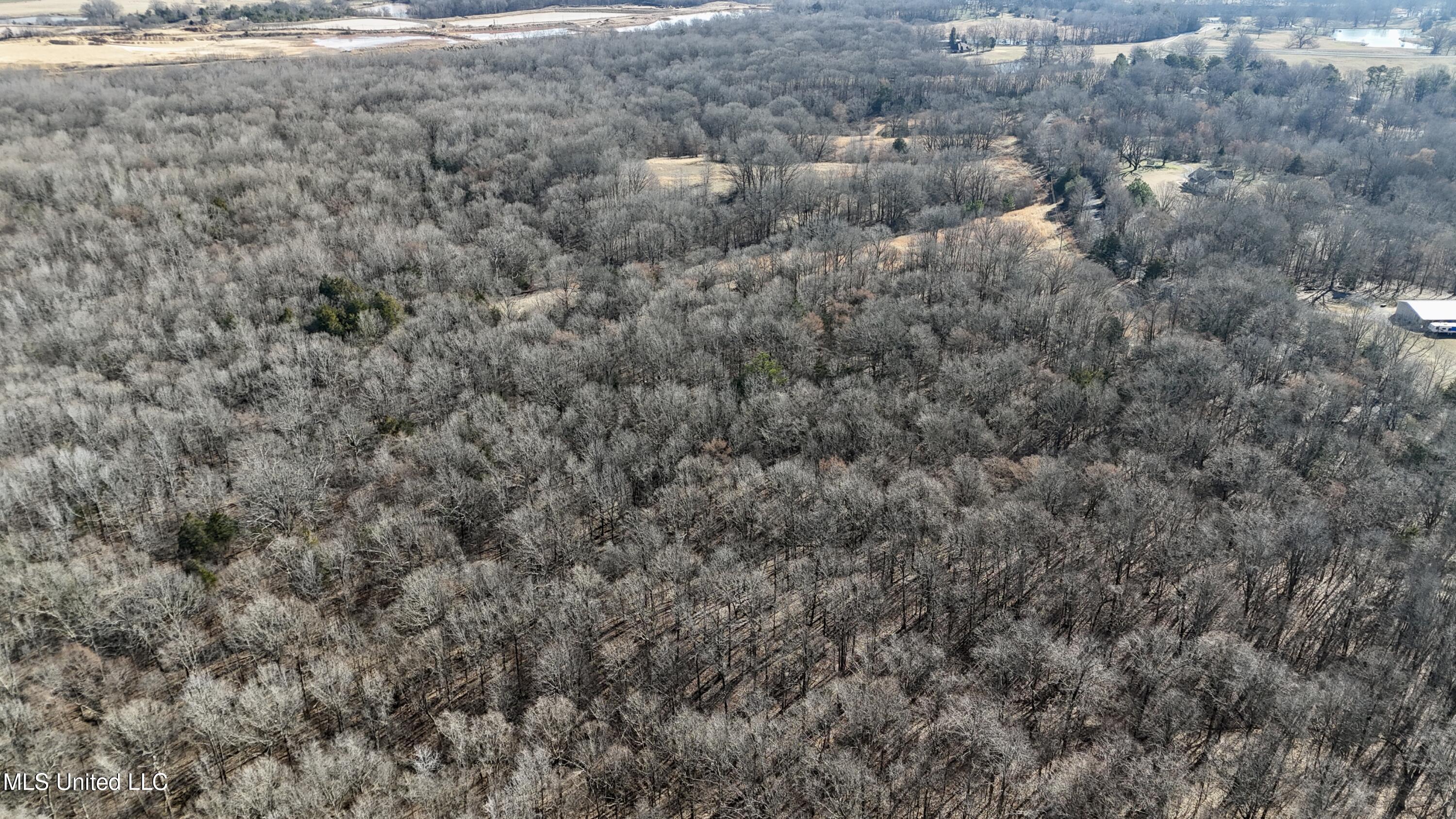 N Crockett Rd, Senatobia, Mississippi image 31