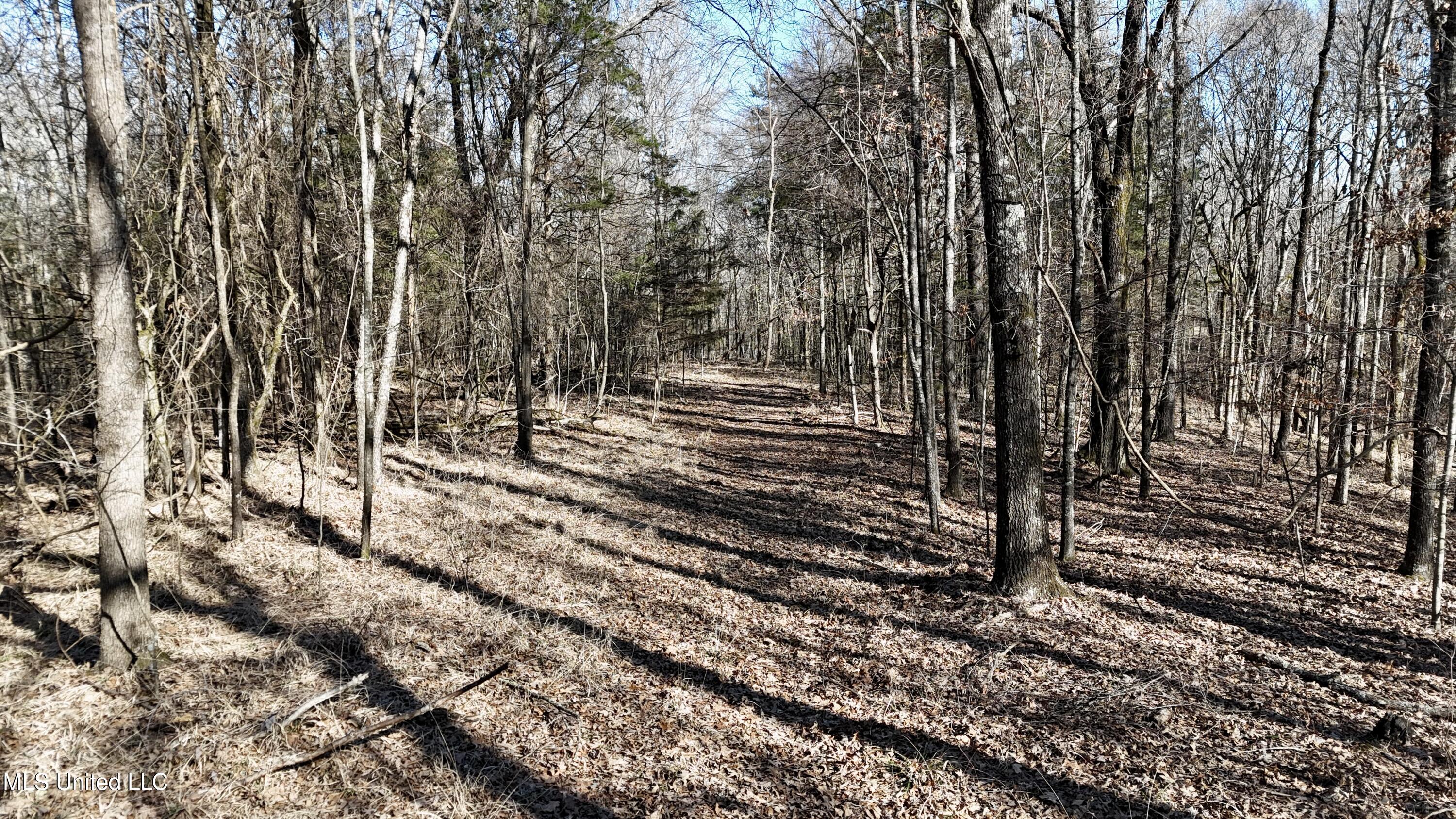 N Crockett Rd, Senatobia, Mississippi image 33