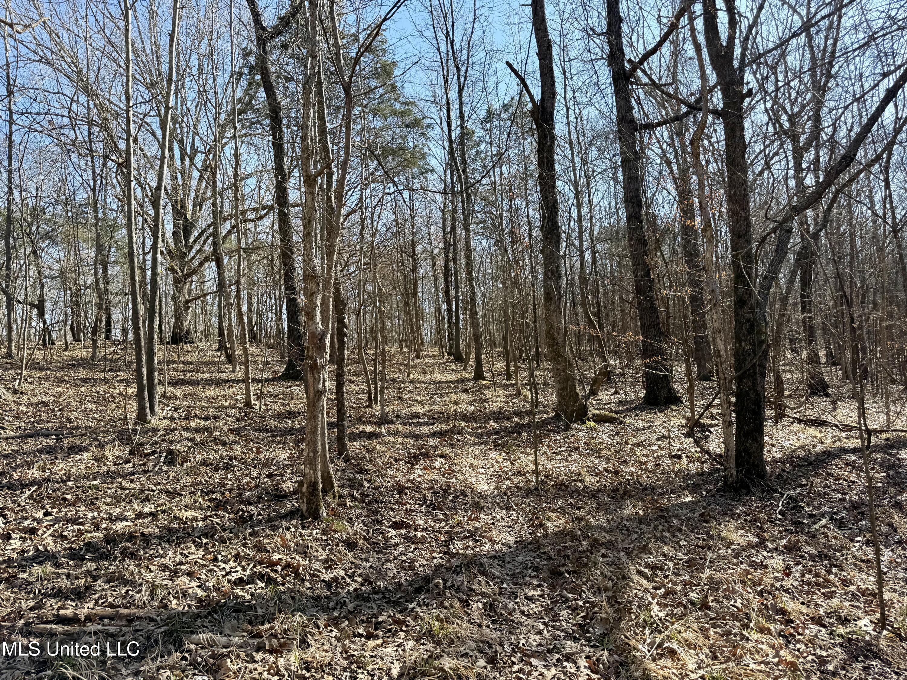 N Crockett Rd, Senatobia, Mississippi image 19
