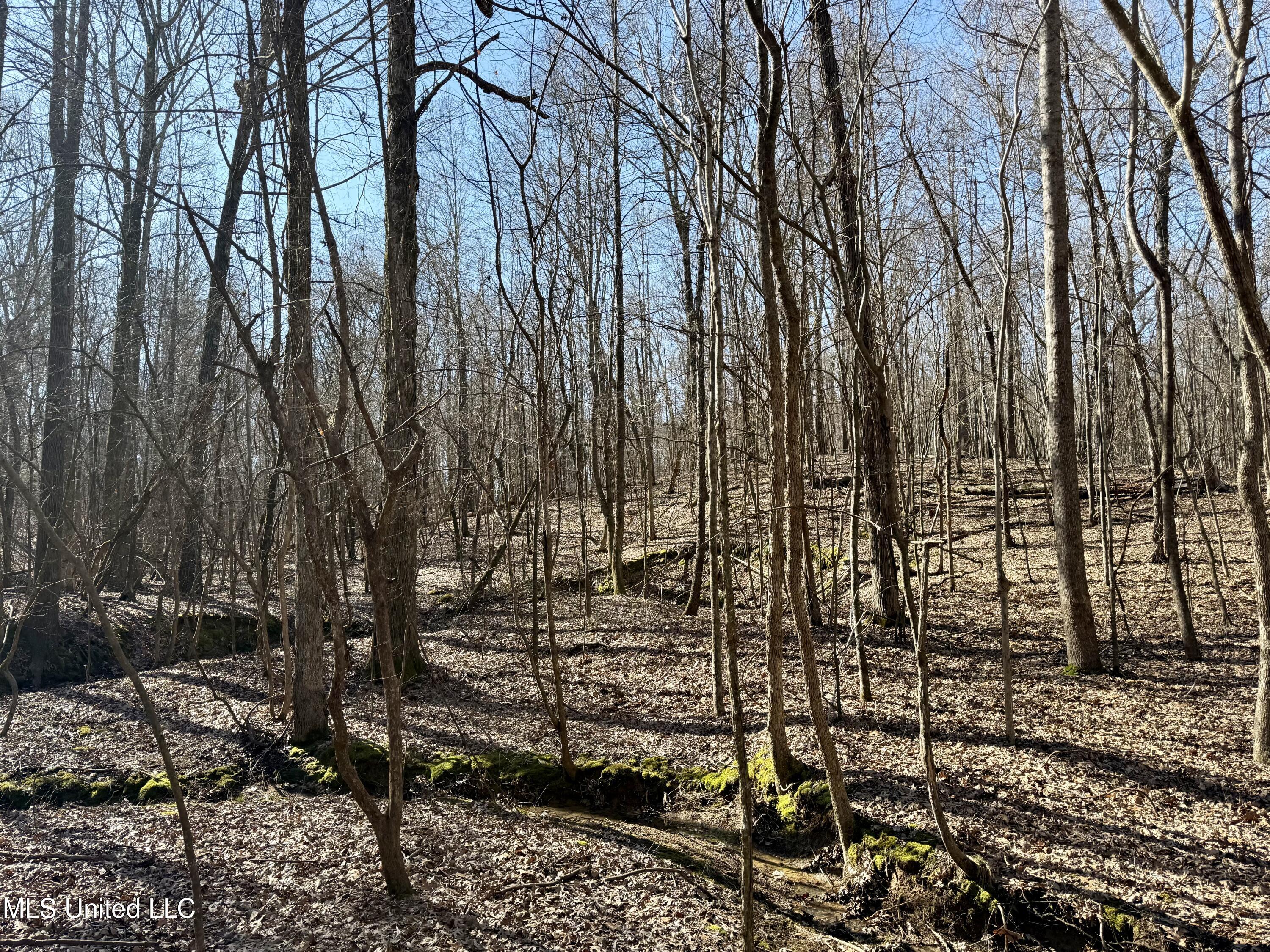 N Crockett Rd, Senatobia, Mississippi image 21