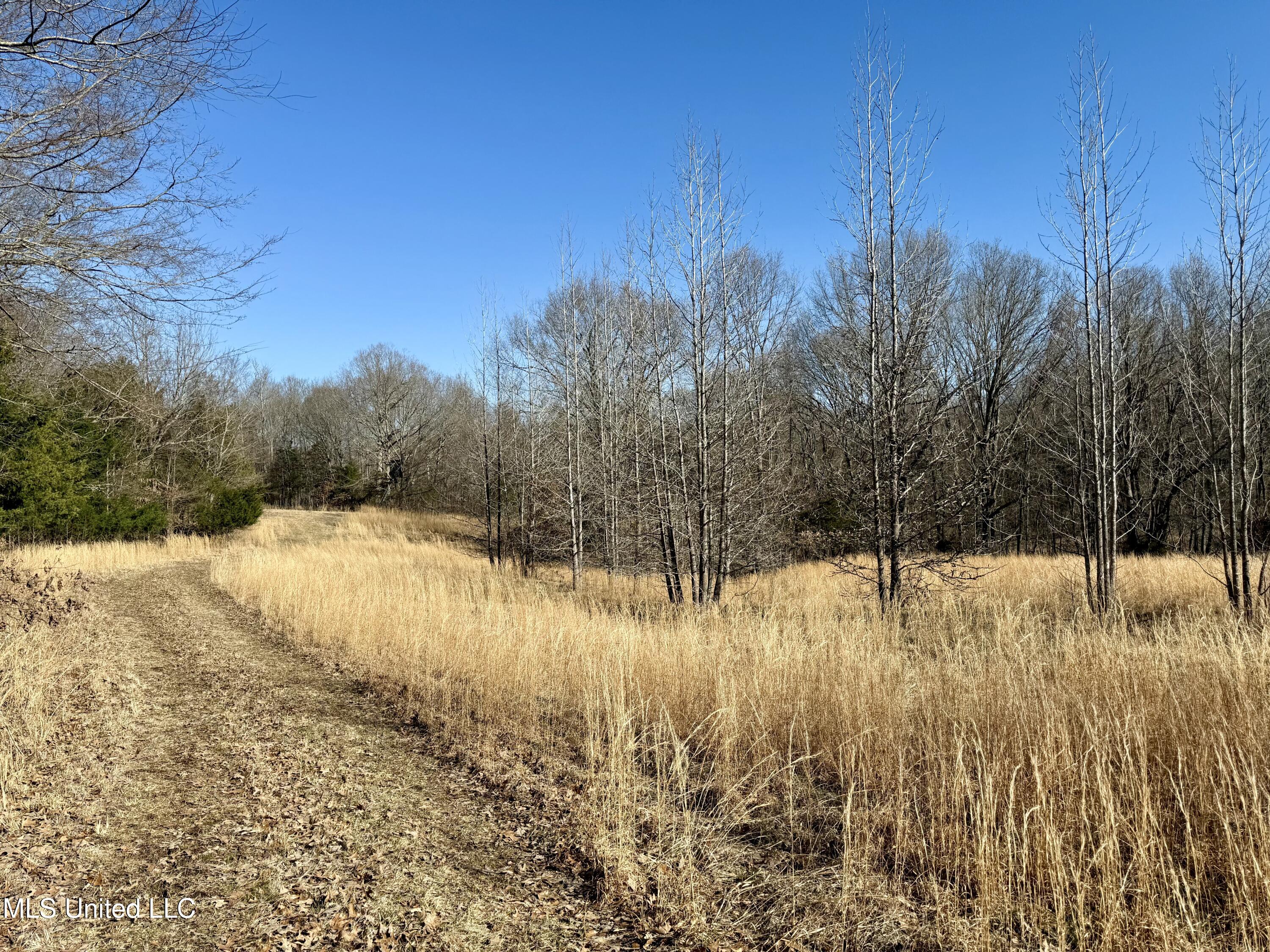 N Crockett Rd, Senatobia, Mississippi image 4