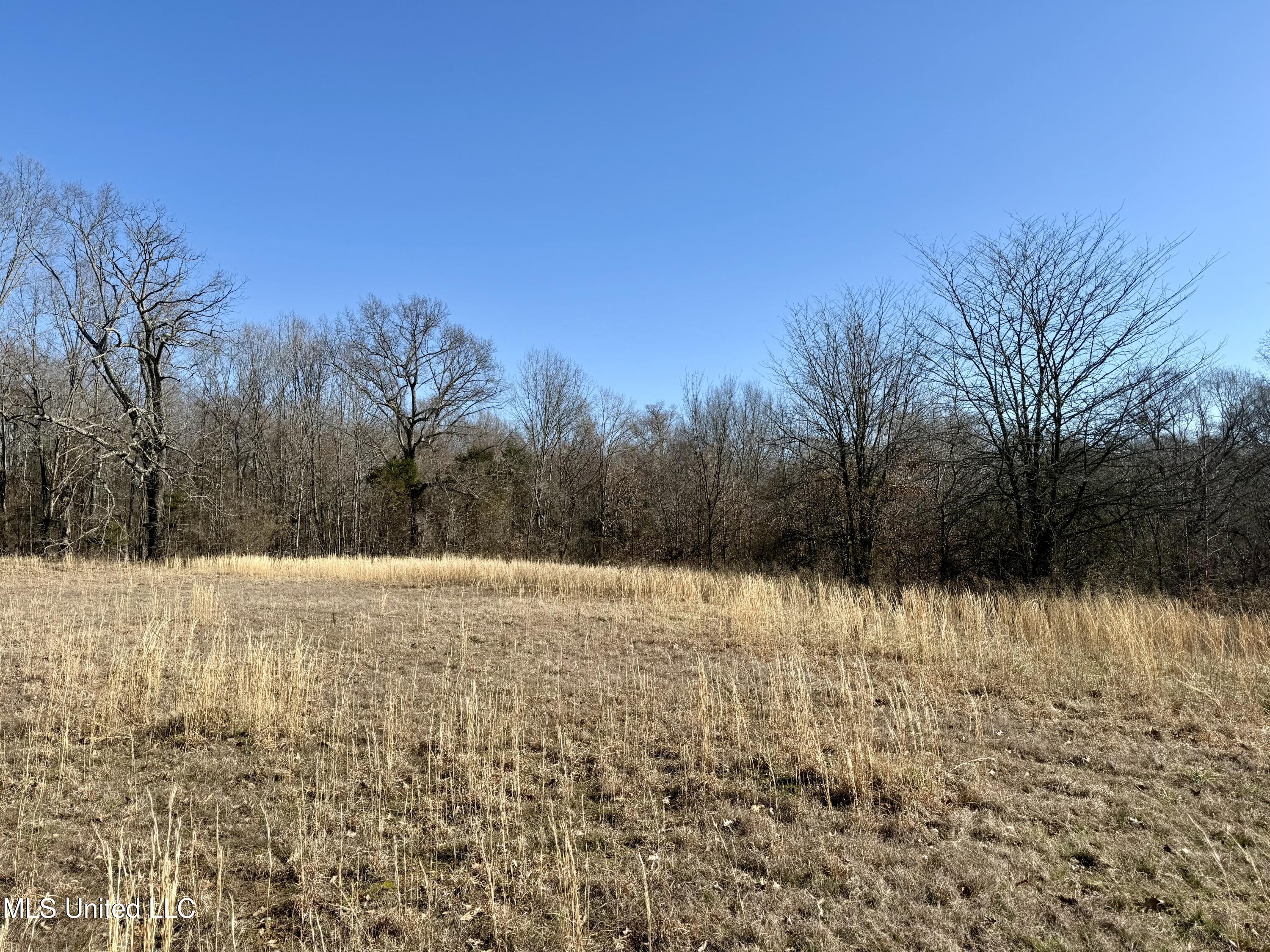 N Crockett Rd, Senatobia, Mississippi image 11
