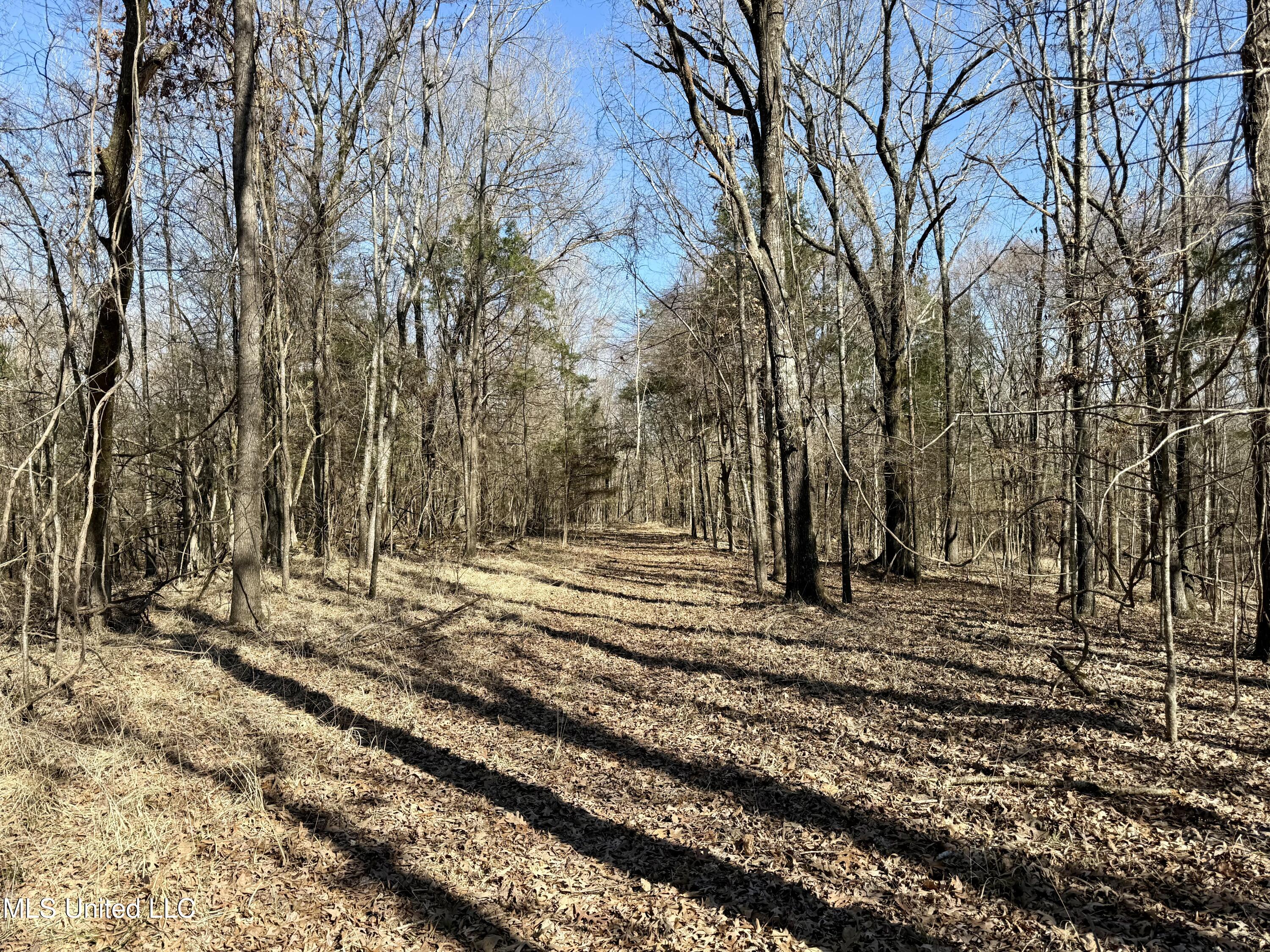 N Crockett Rd, Senatobia, Mississippi image 18