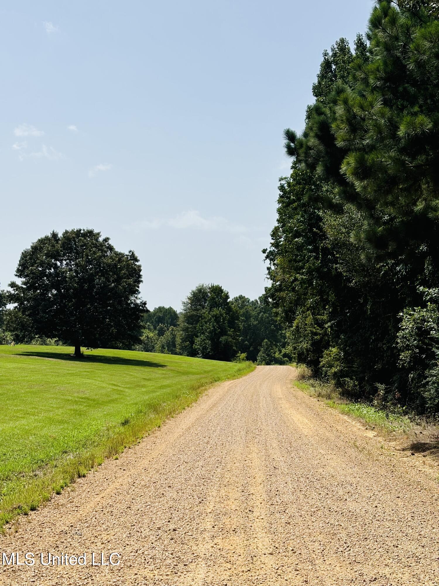 3419 Attala Road 1110, Kosciusko, Mississippi image 31