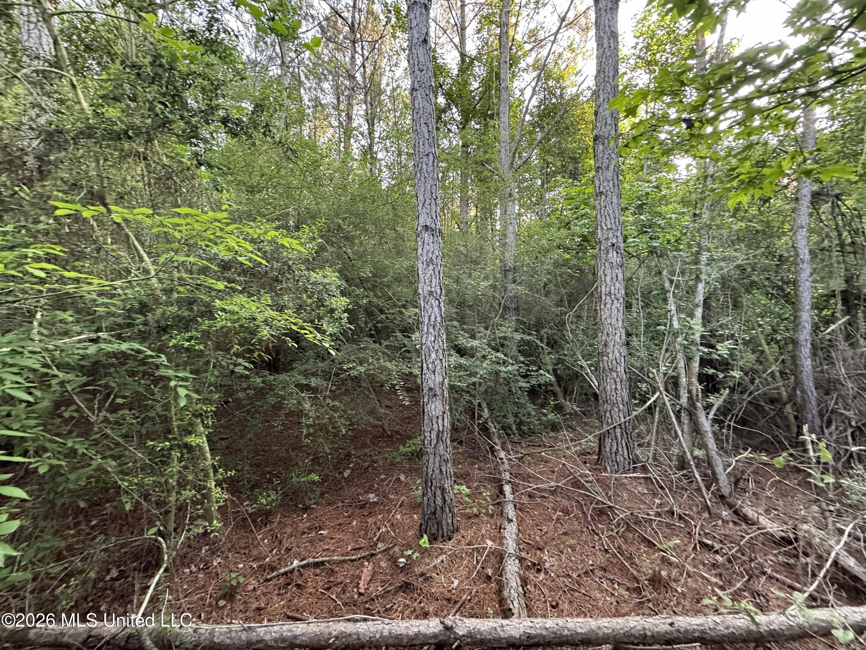 N Lot 1 River Road