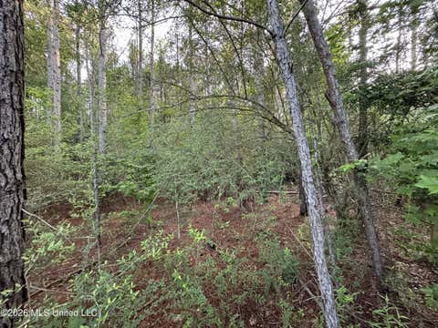 Vacant Land For Sale - N Lot 1 River Road<br/> Pike County, Summit, MS 39666