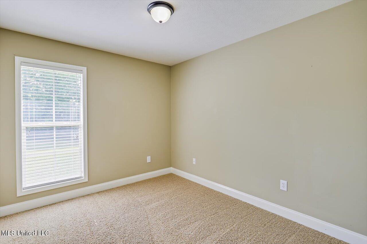 120 Jordan Drive Drive, Brandon, Mississippi image 23