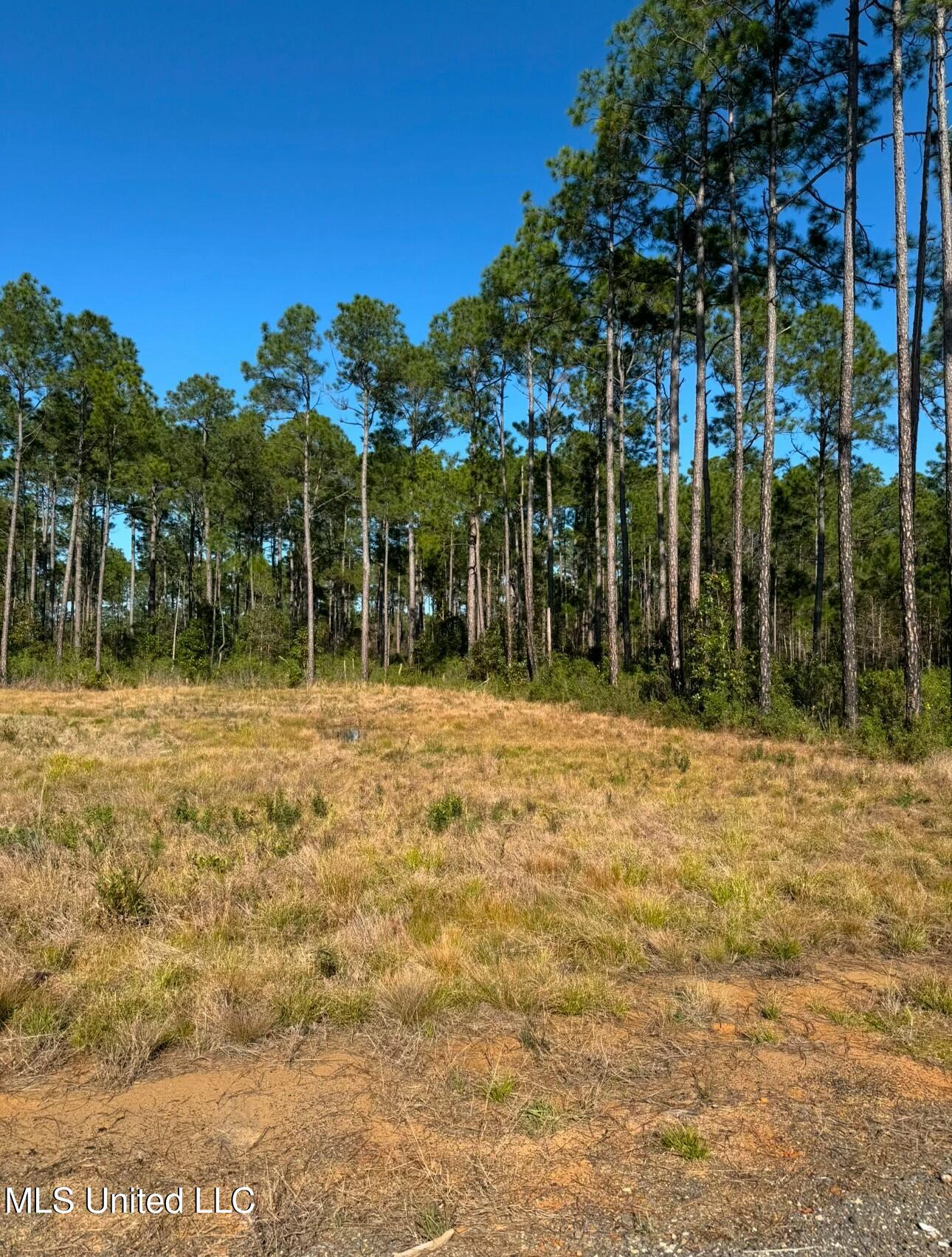 Holiday Drive, Ocean Springs, Mississippi image 1