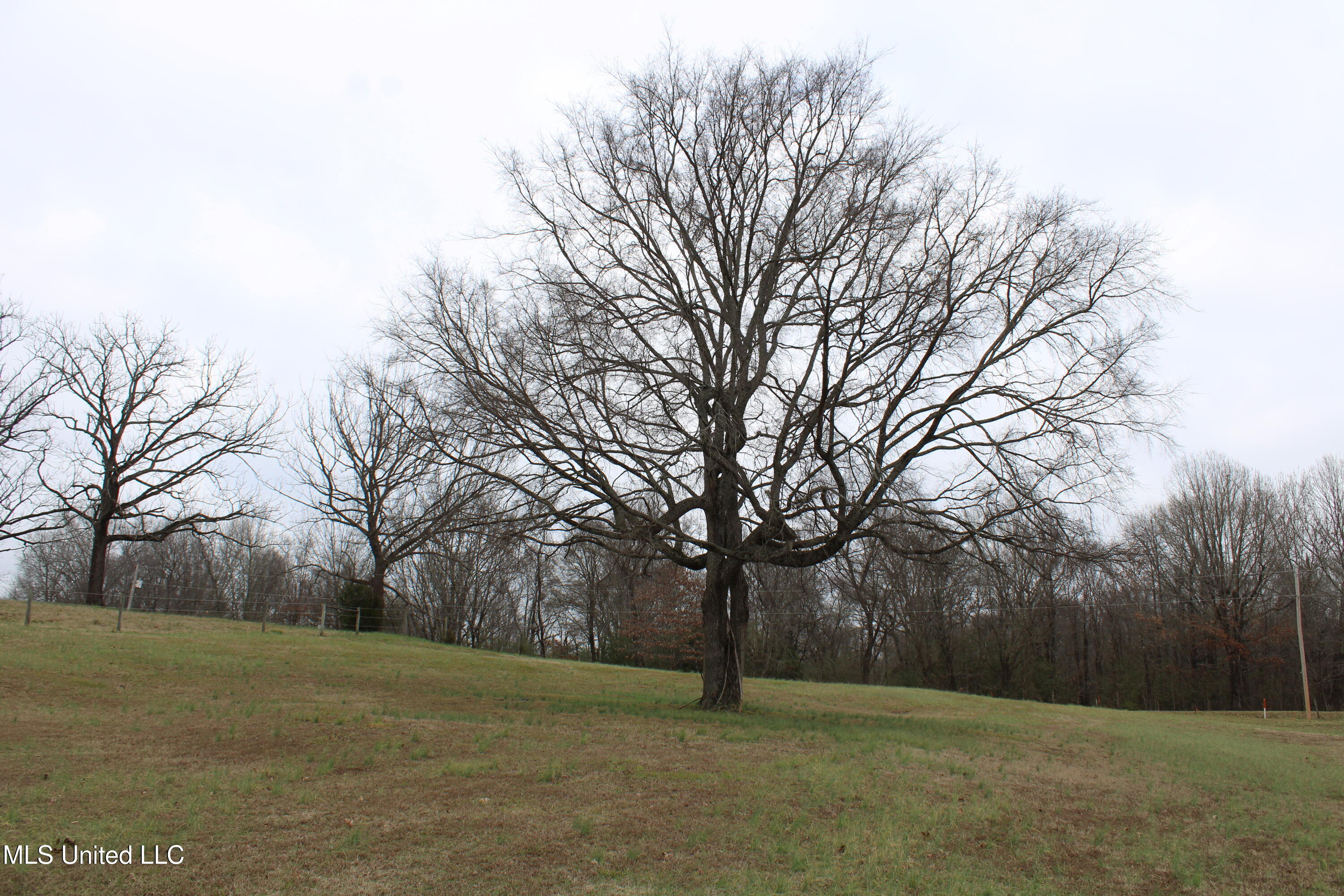 5899 Crawford Road, Hernando, Mississippi image 8