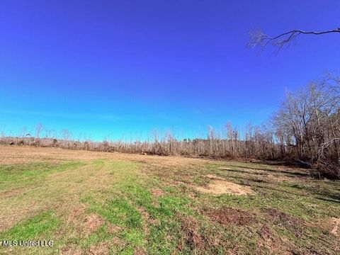 Vacant Land For Sale - 40 Clarence Bullock Road<br/> Tylertown, MS 39667