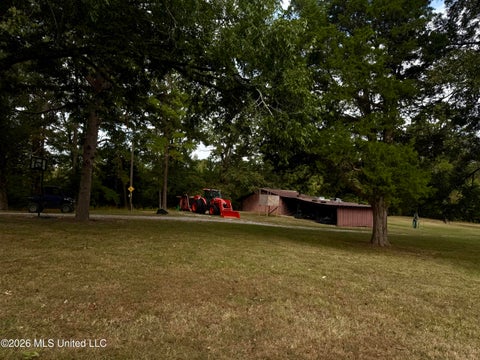 Vacant Land For Sale - 1975 Ms 178<br/> Myrtle, MS 38650