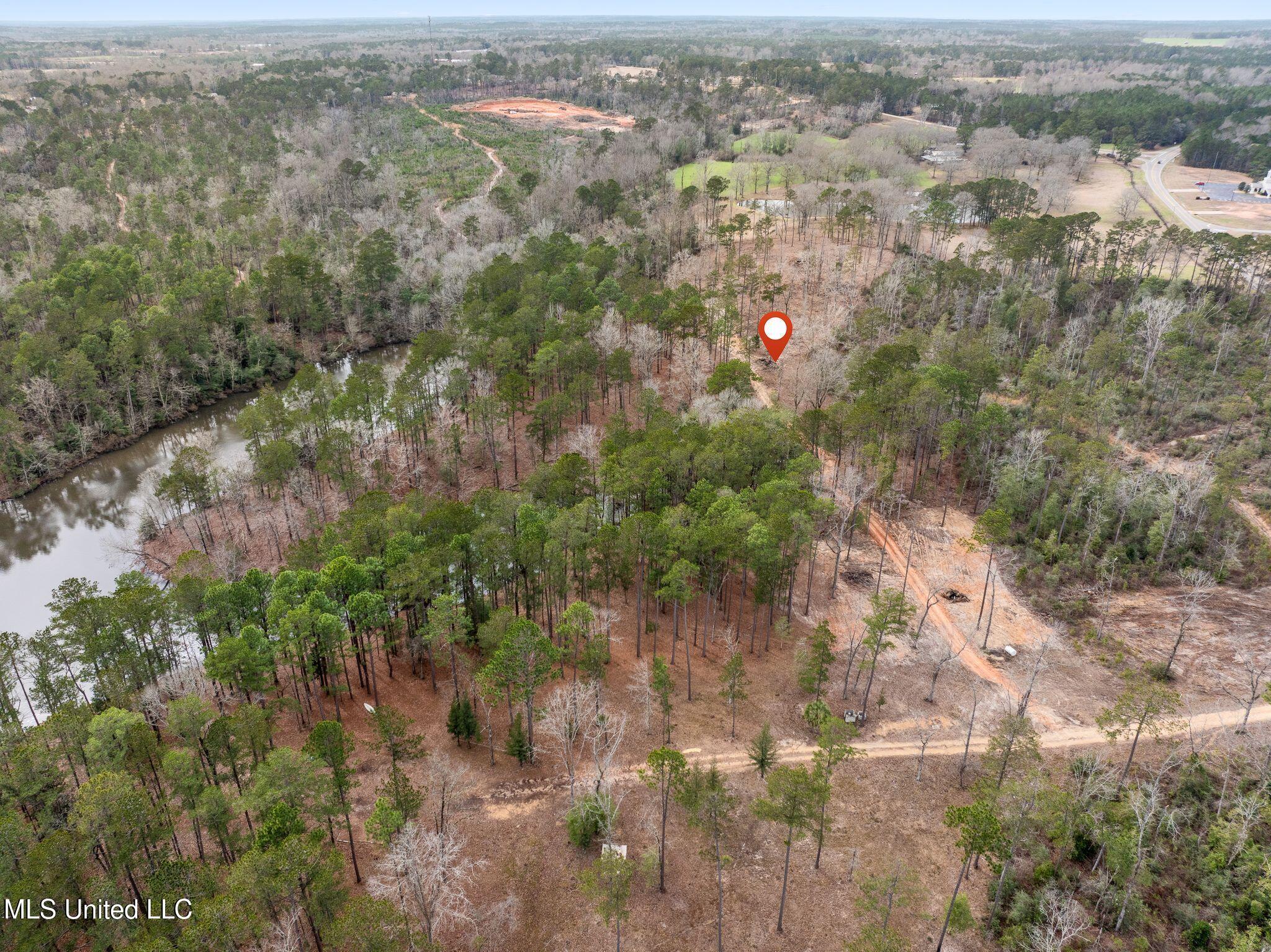 11 Acres Lot 3 Bridgewater Subdivision, Sumrall, Mississippi image 9