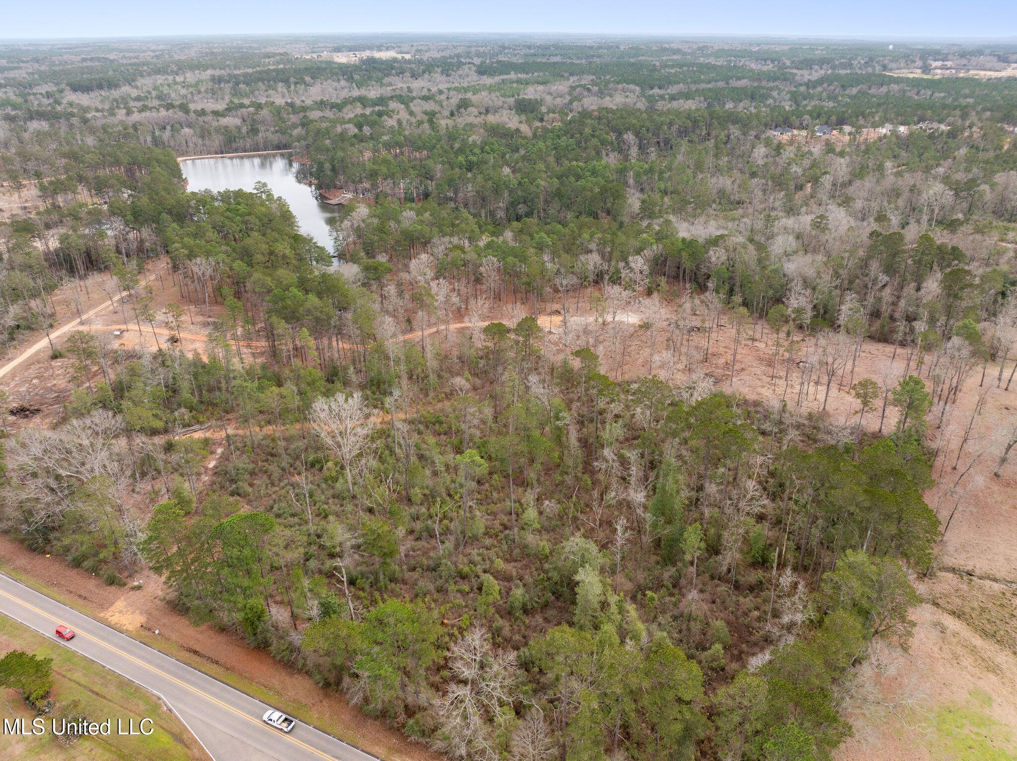 11 Acres Lot 3 Bridgewater Subdivision, Sumrall, Mississippi image 7