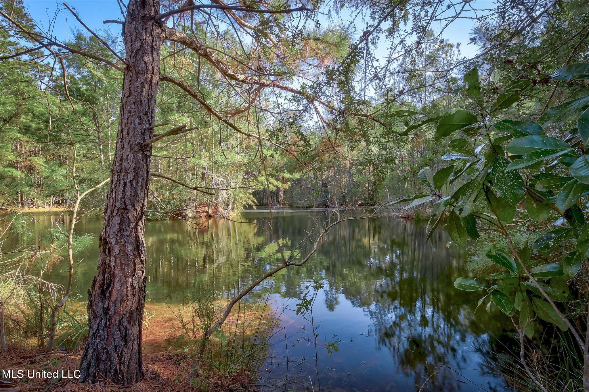 6500 Crump Road, Kiln, Mississippi image 11