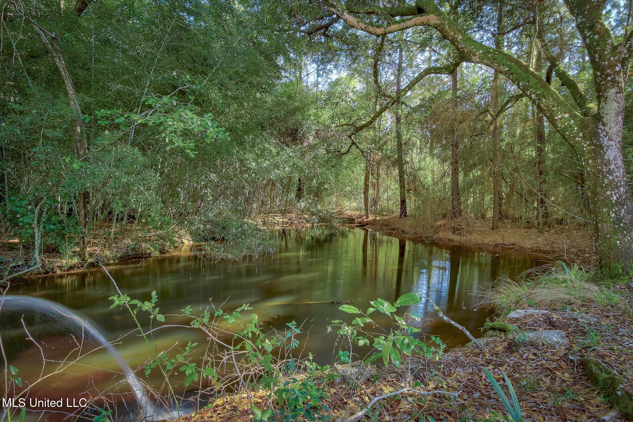 6500 Crump Road, Kiln, Mississippi image 6