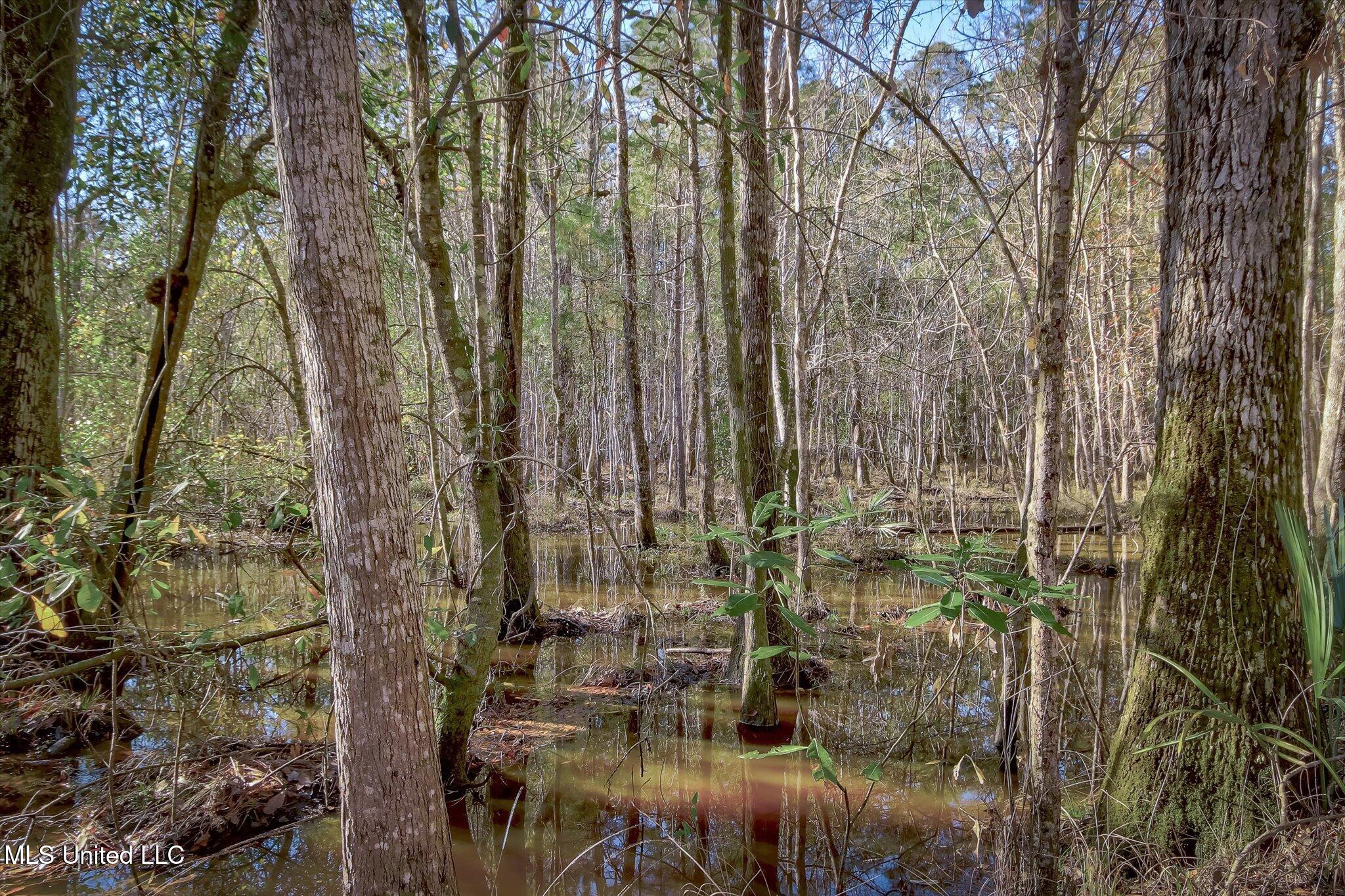 6500 Crump Road, Kiln, Mississippi image 16