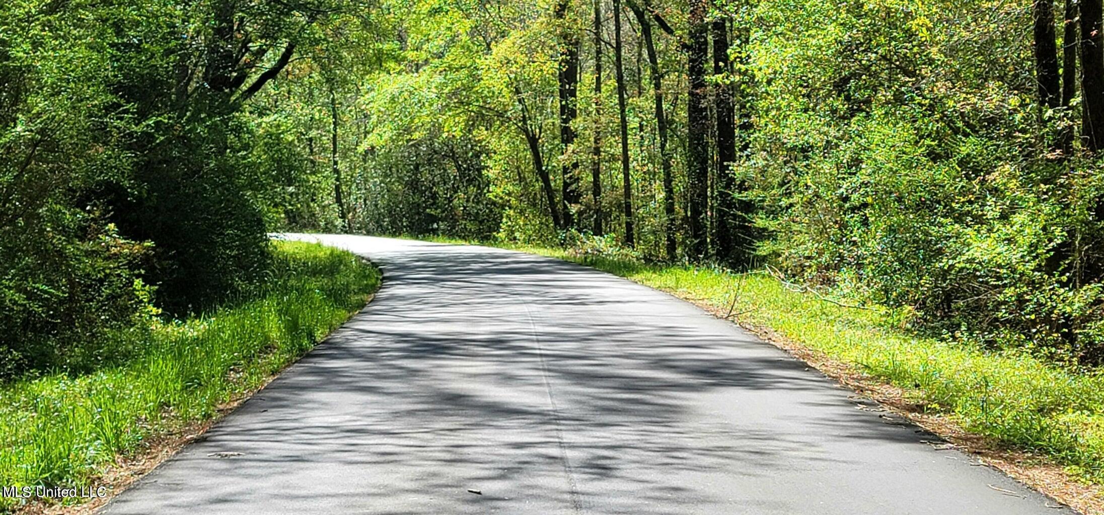 Nhn Dupont Harts Chapel Road, Poplarville, Mississippi image 12