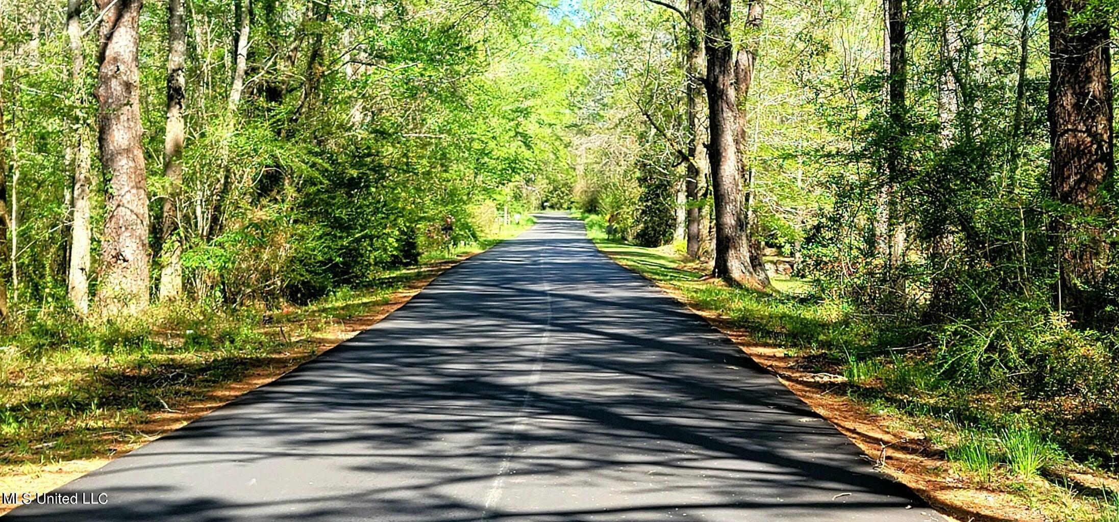 Nhn Dupont Harts Chapel Road, Poplarville, Mississippi image 13