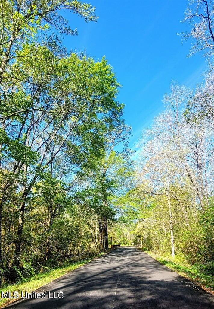 Nhn Dupont Harts Chapel Road, Poplarville, Mississippi image 7