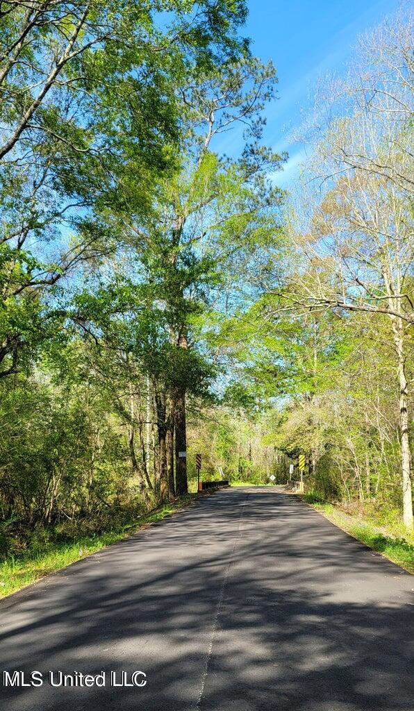 Nhn Dupont Harts Chapel Road, Poplarville, Mississippi image 6