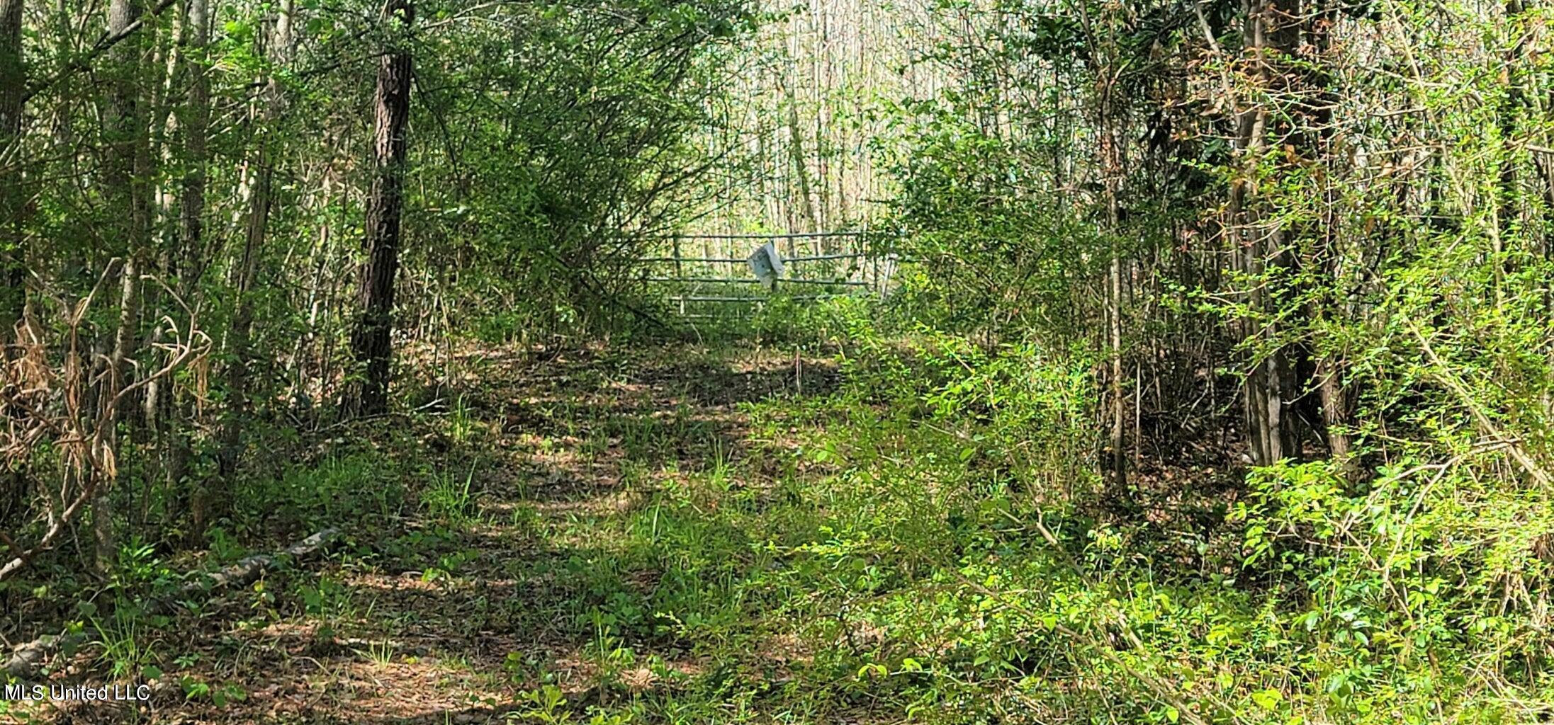 Nhn Dupont Harts Chapel Road, Poplarville, Mississippi image 10