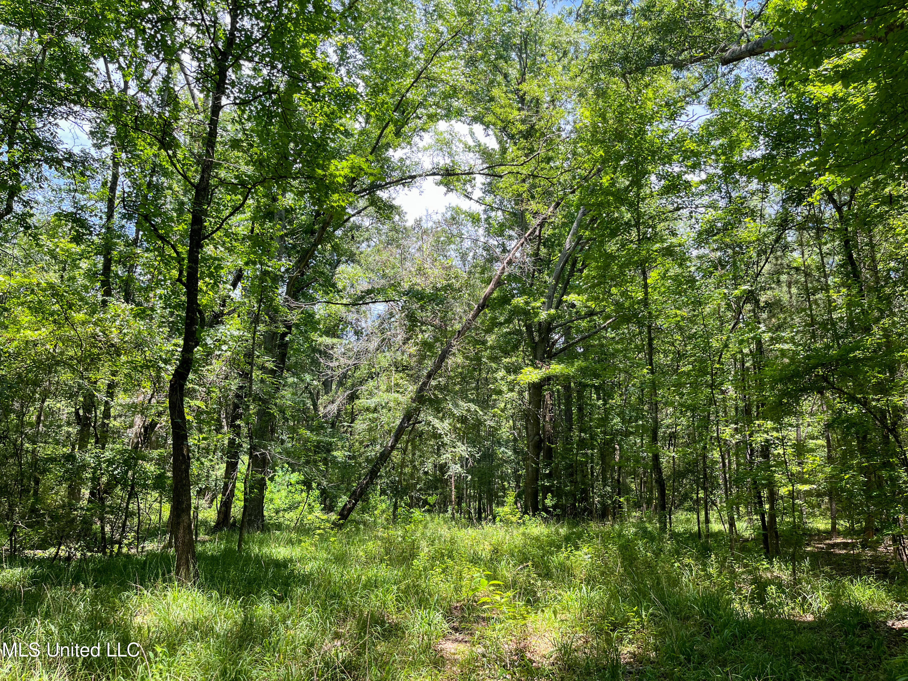 Raymond Road, Jackson, Mississippi image 32