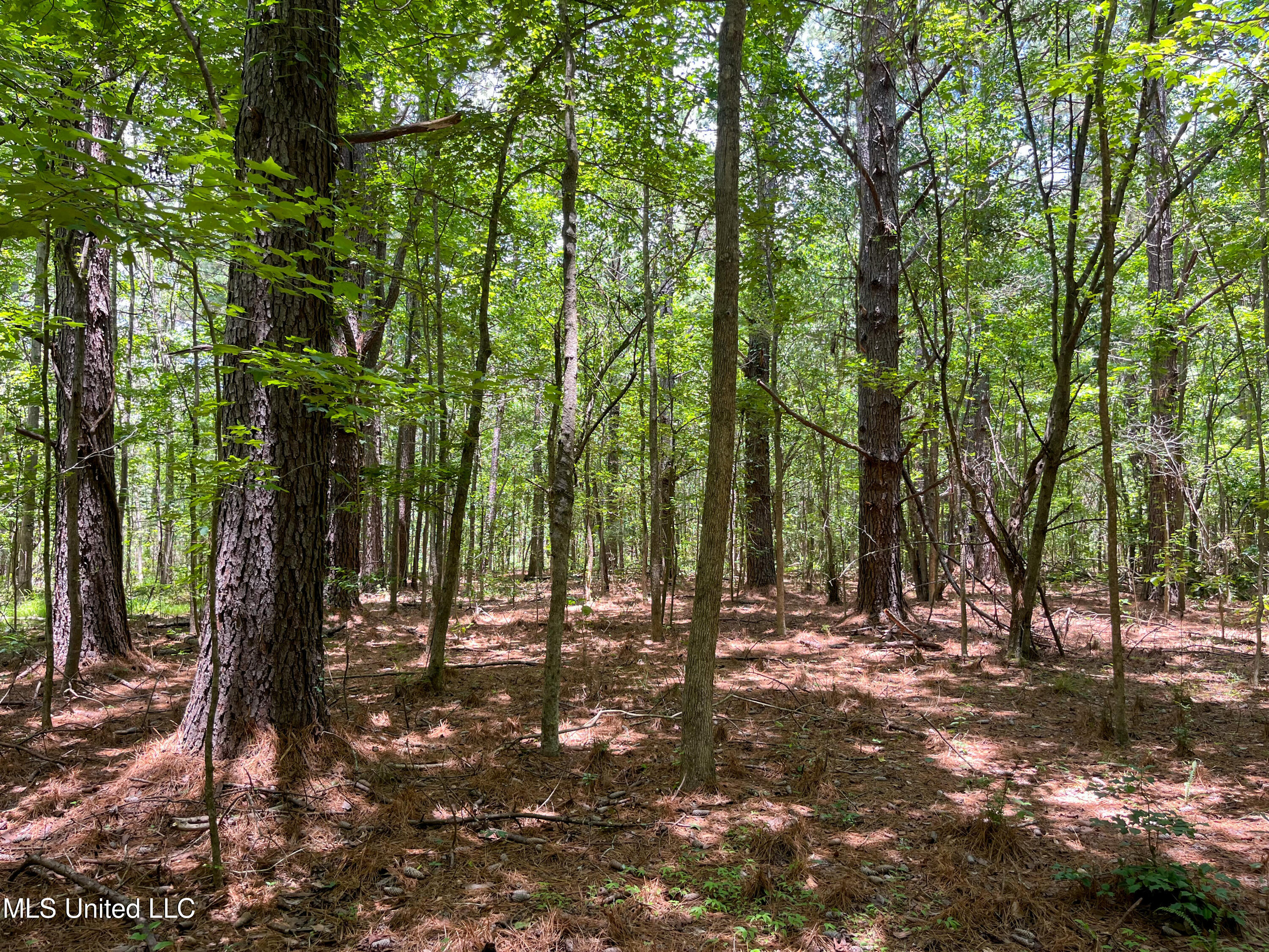 Raymond Road, Jackson, Mississippi image 39