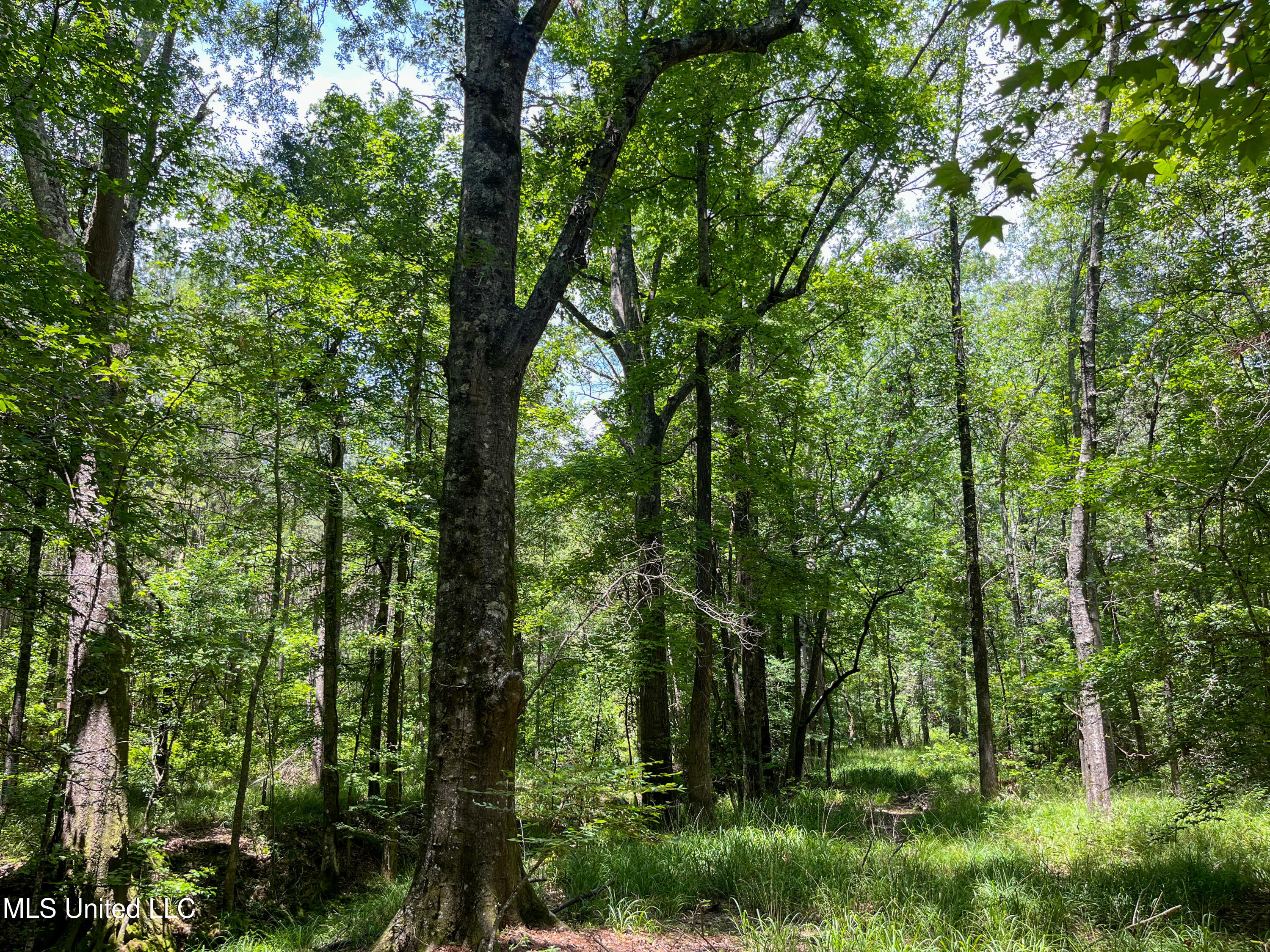 Raymond Road, Jackson, Mississippi image 7