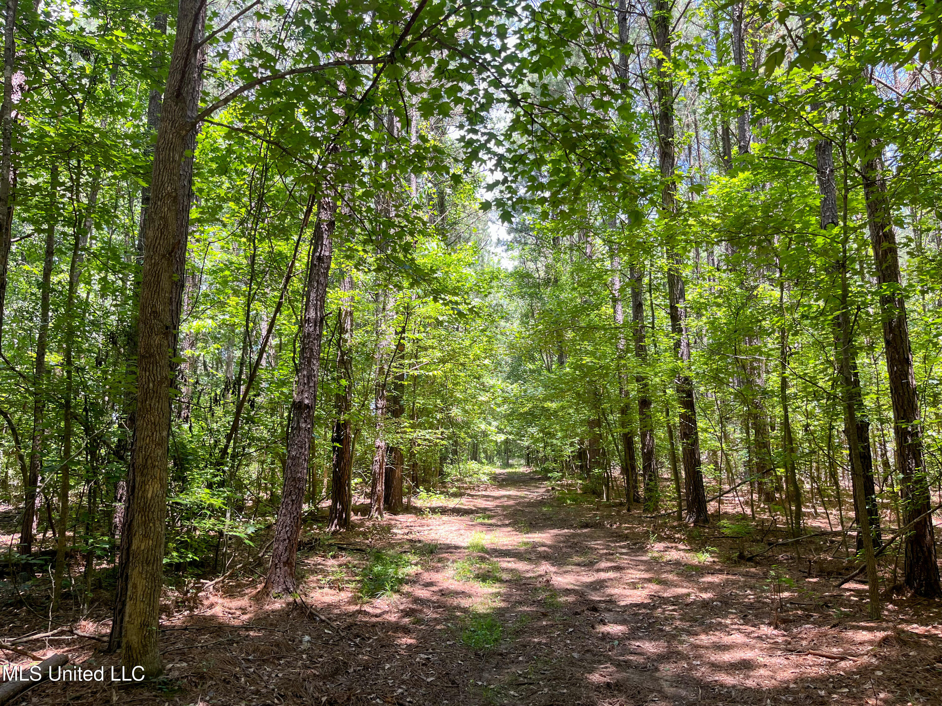 Raymond Road, Jackson, Mississippi image 10