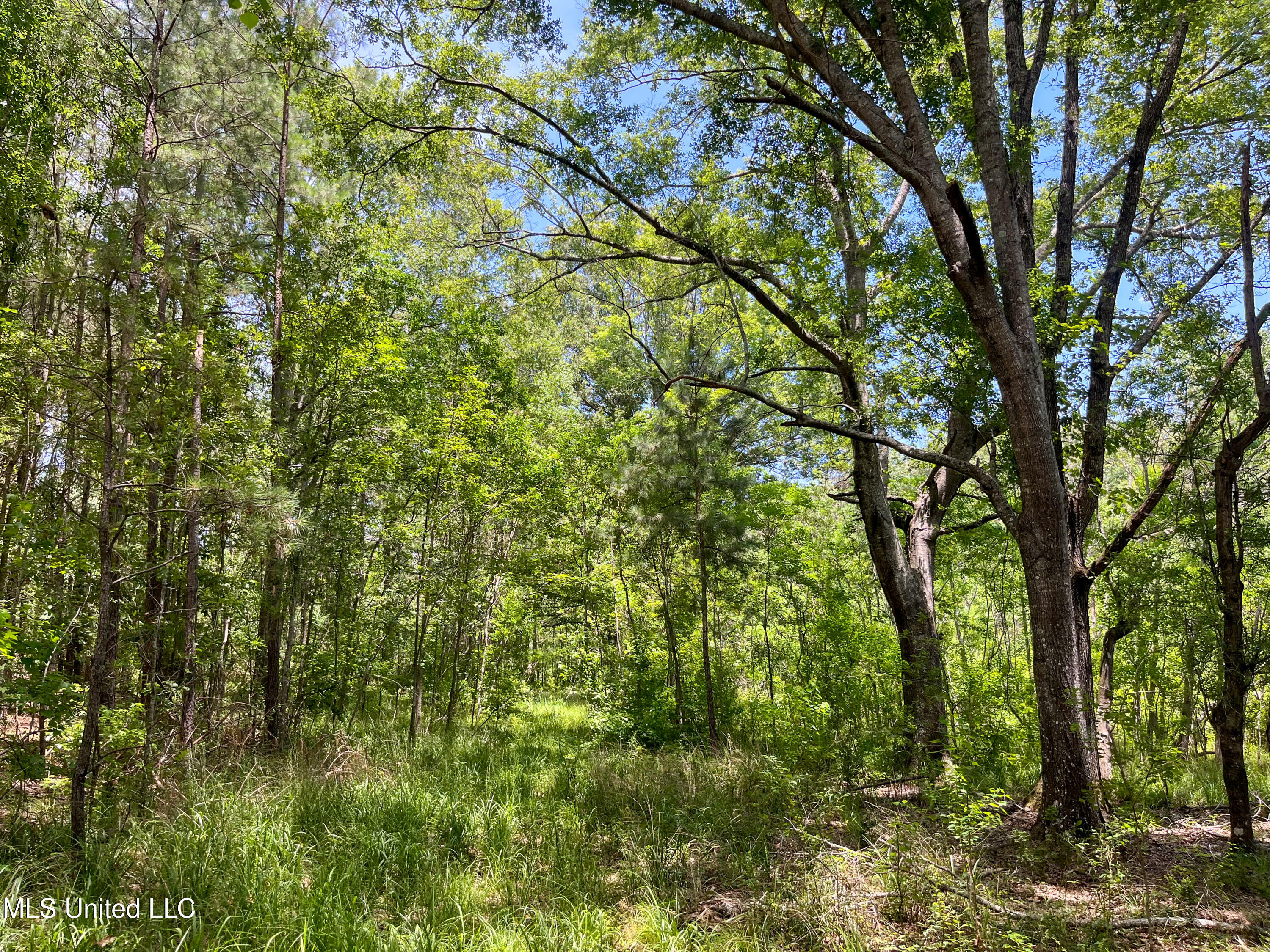 Raymond Road, Jackson, Mississippi image 47