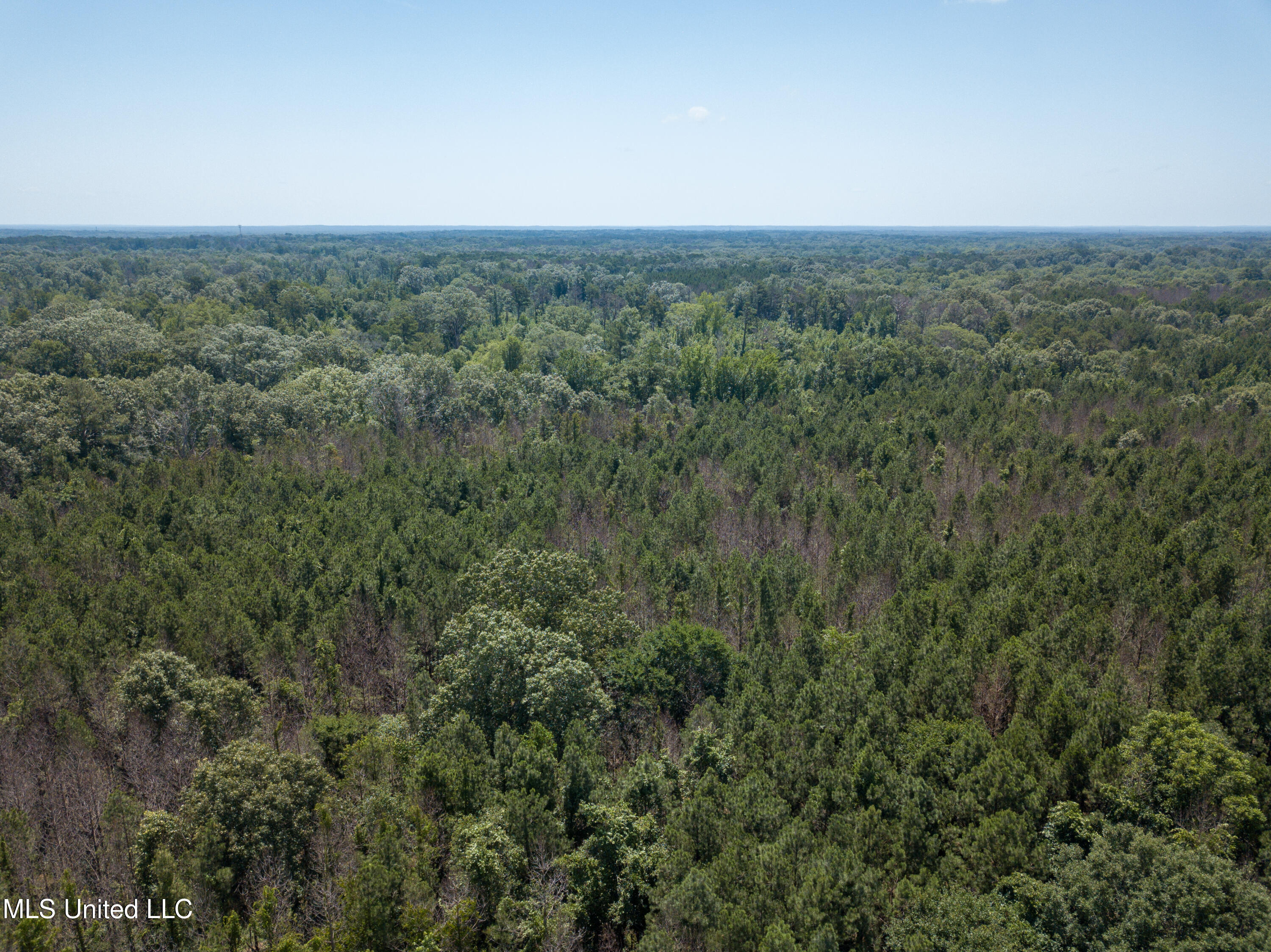 Raymond Road, Jackson, Mississippi image 16