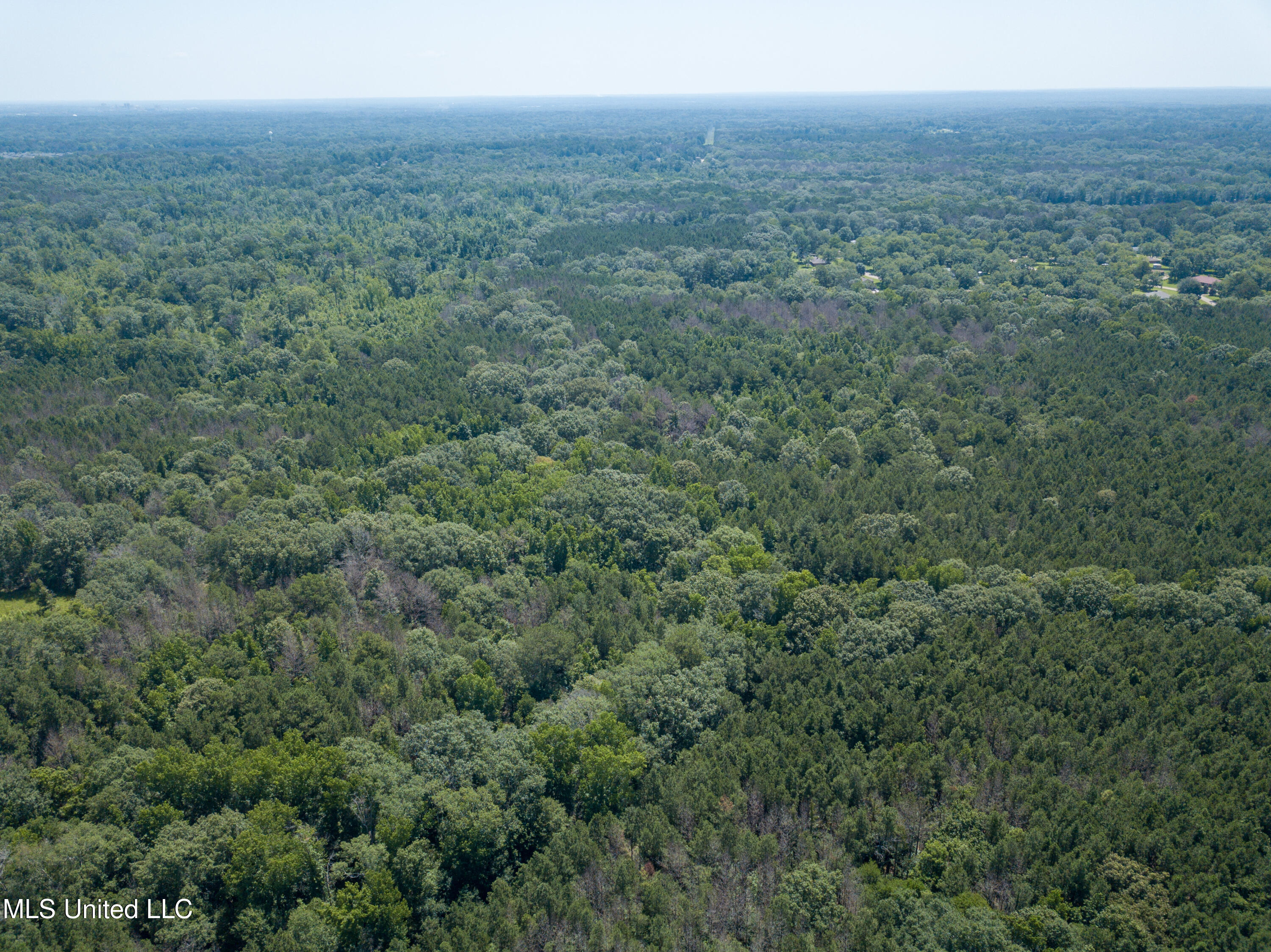 Raymond Road, Jackson, Mississippi image 9