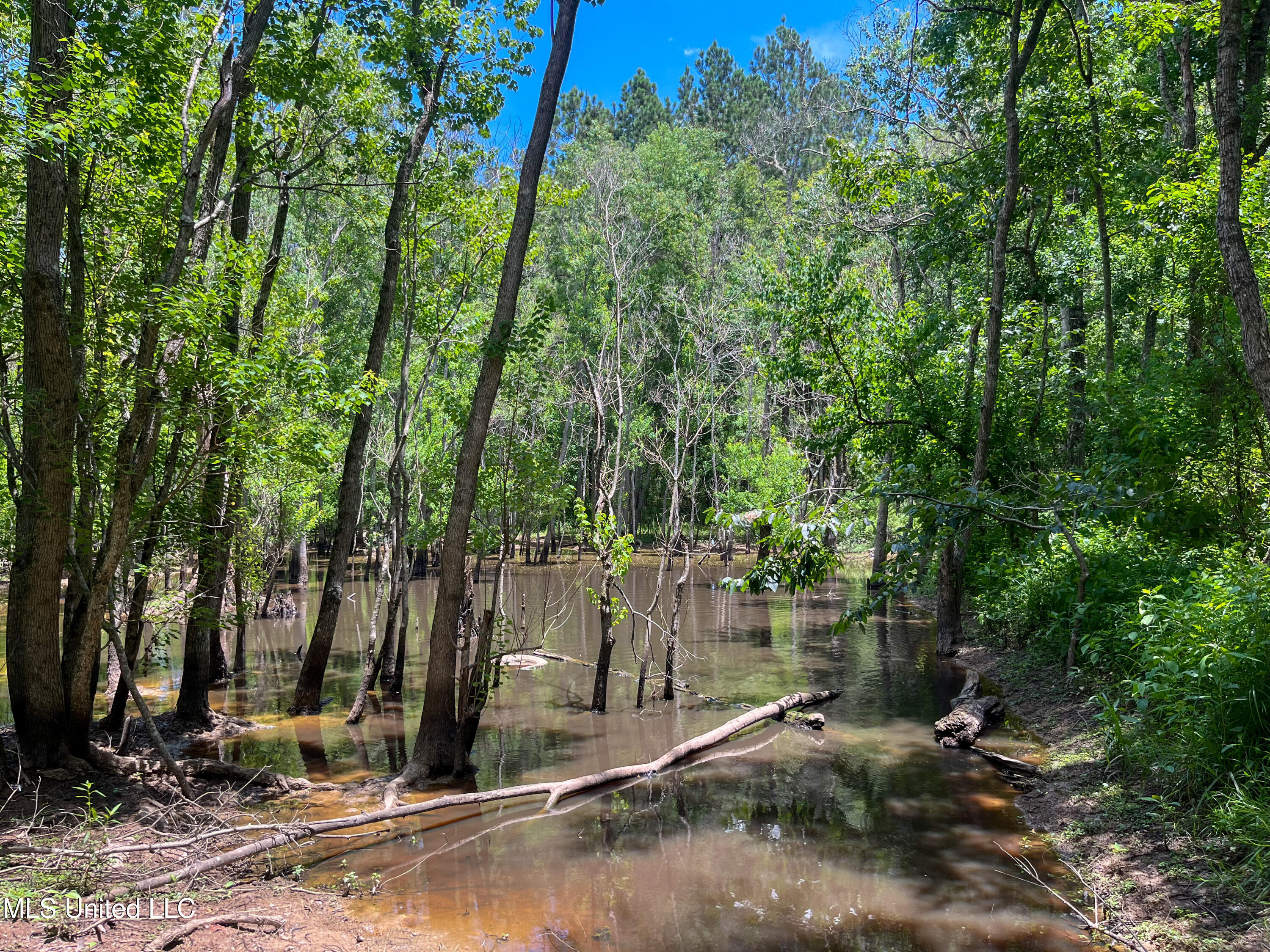 Raymond Road, Jackson, Mississippi image 48