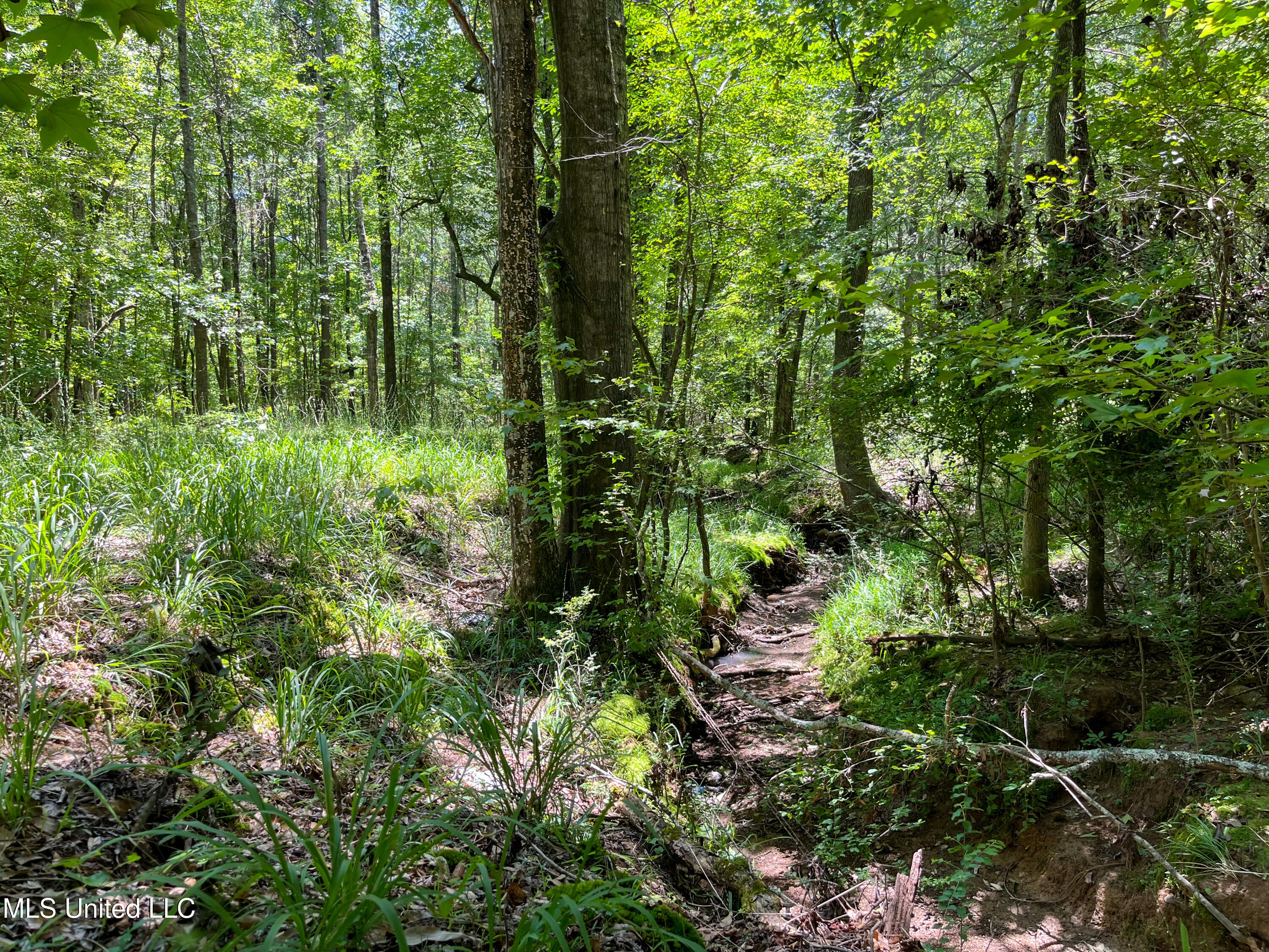Raymond Road, Jackson, Mississippi image 33
