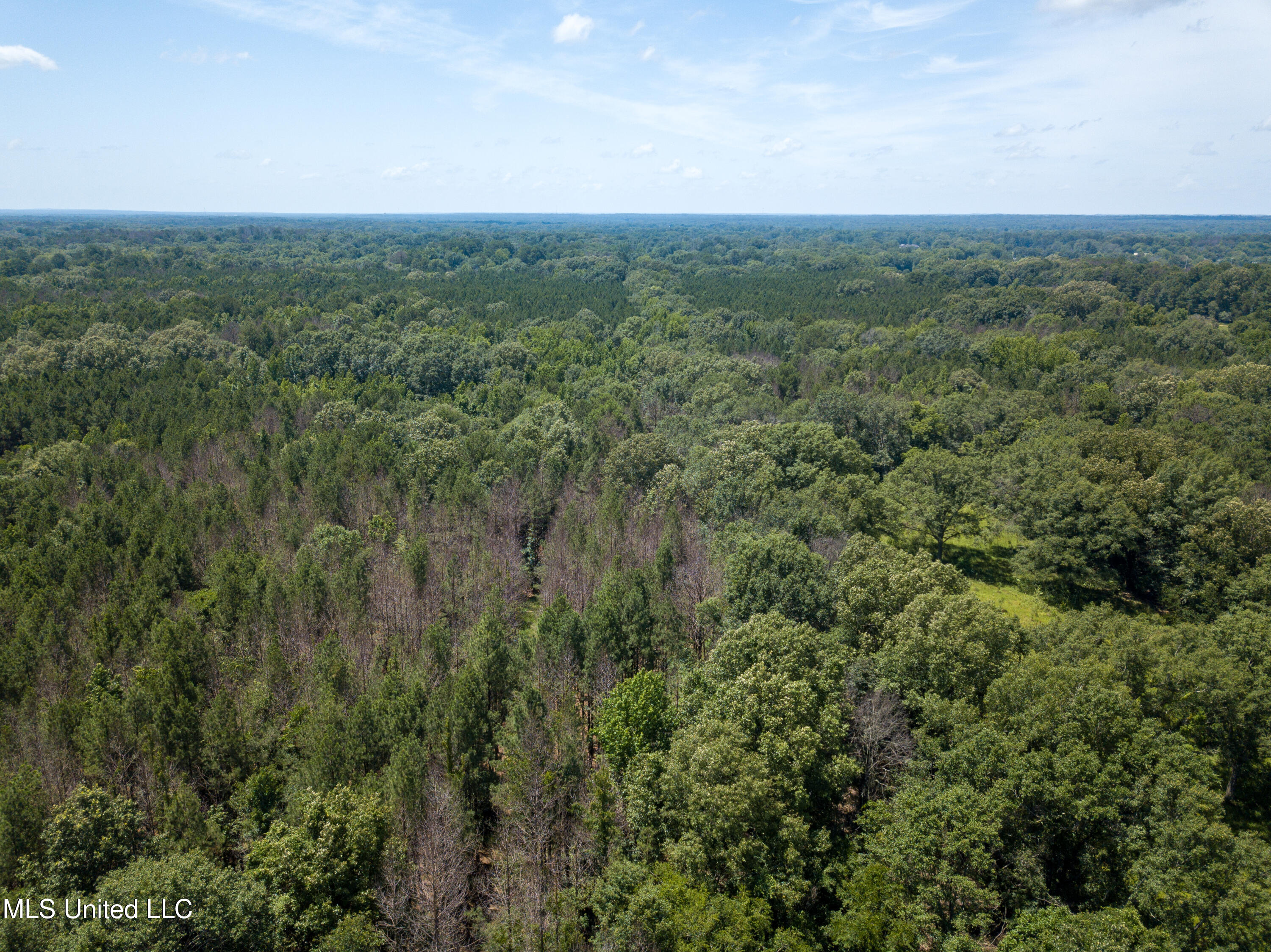 Raymond Road, Jackson, Mississippi image 20