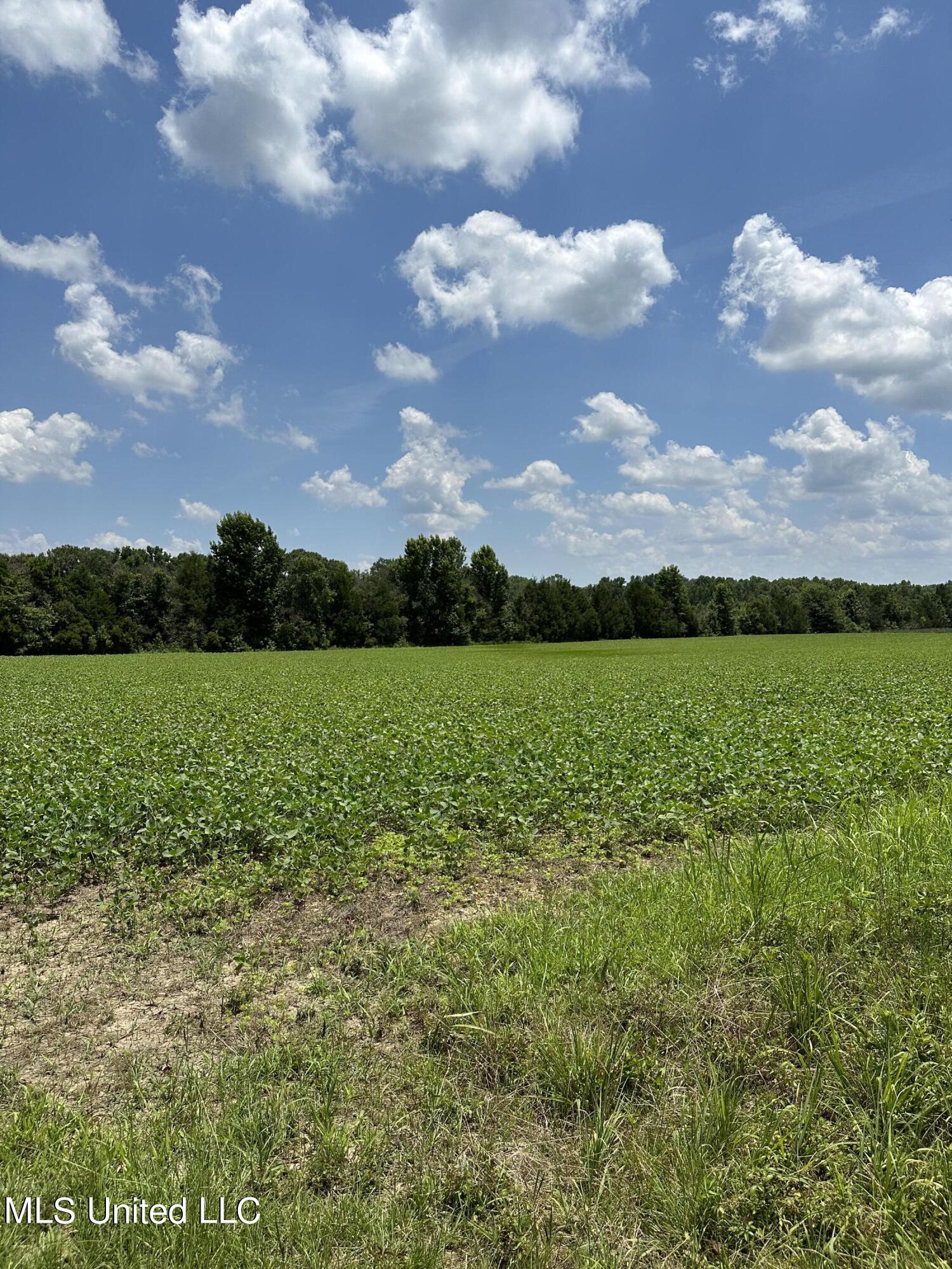 03 Springridge Road, Raymond, Mississippi image 8