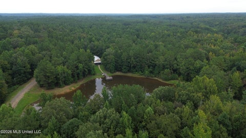 Vacant Land For Sale - 11330 Ms-429<br/> Leake County, Carthage, MS 39051
